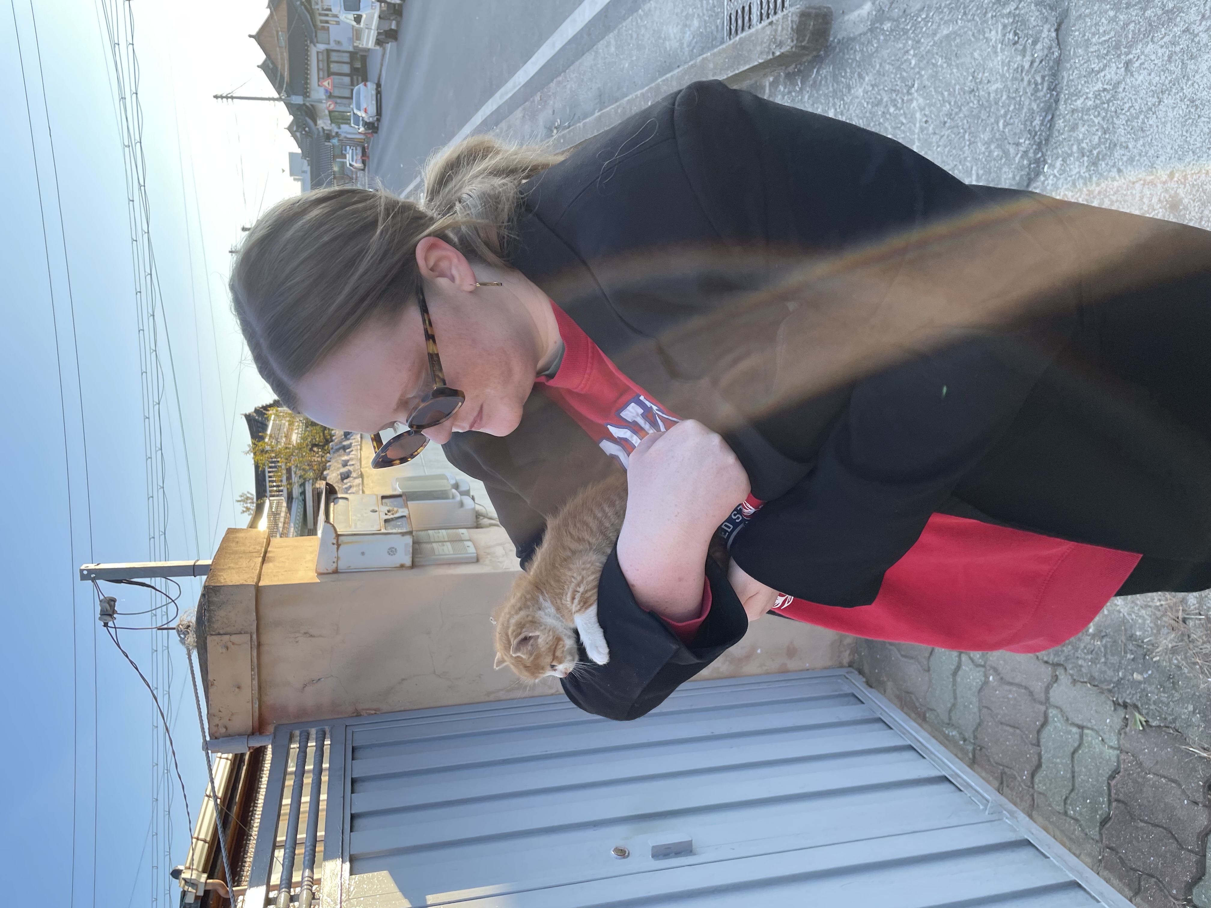 image-7