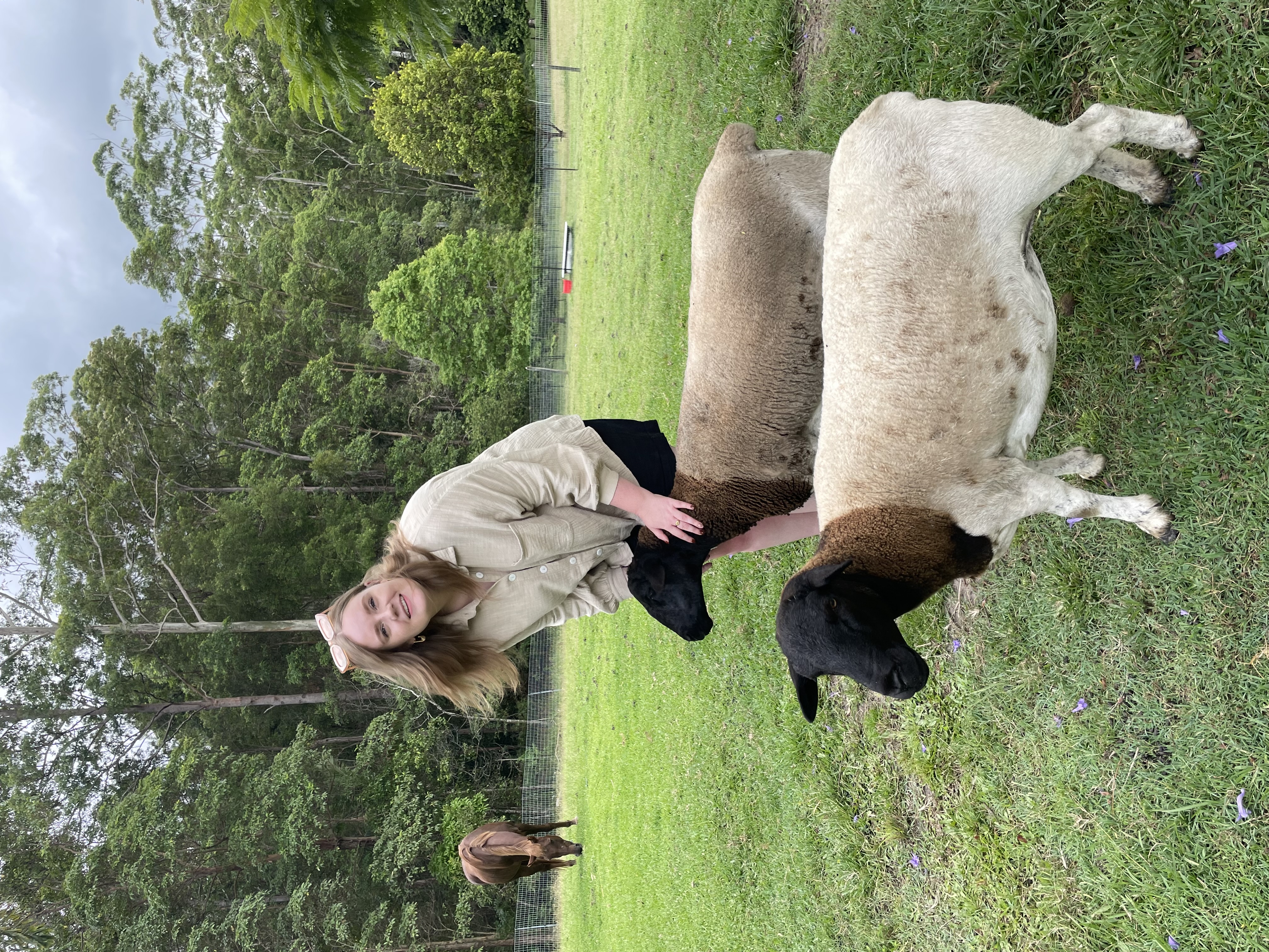 image-9