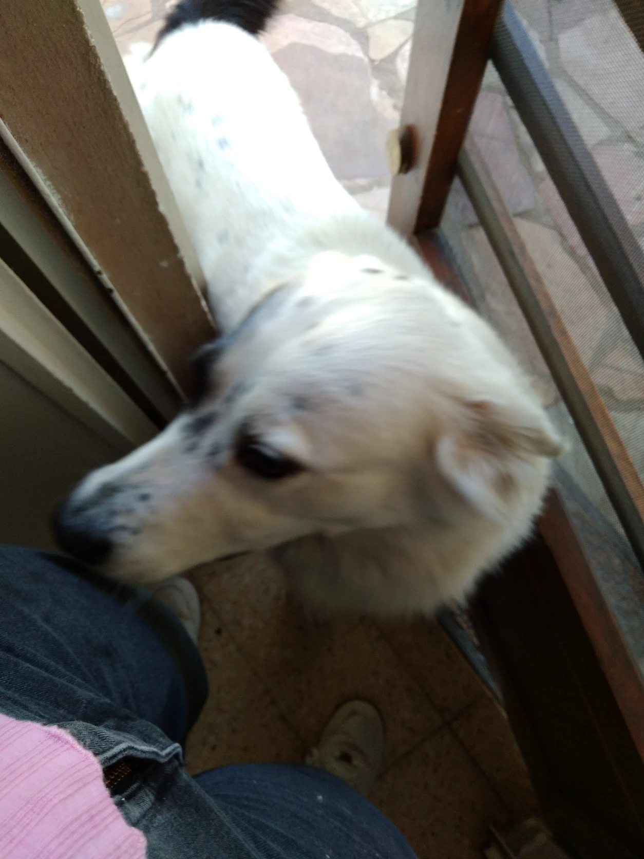image-2