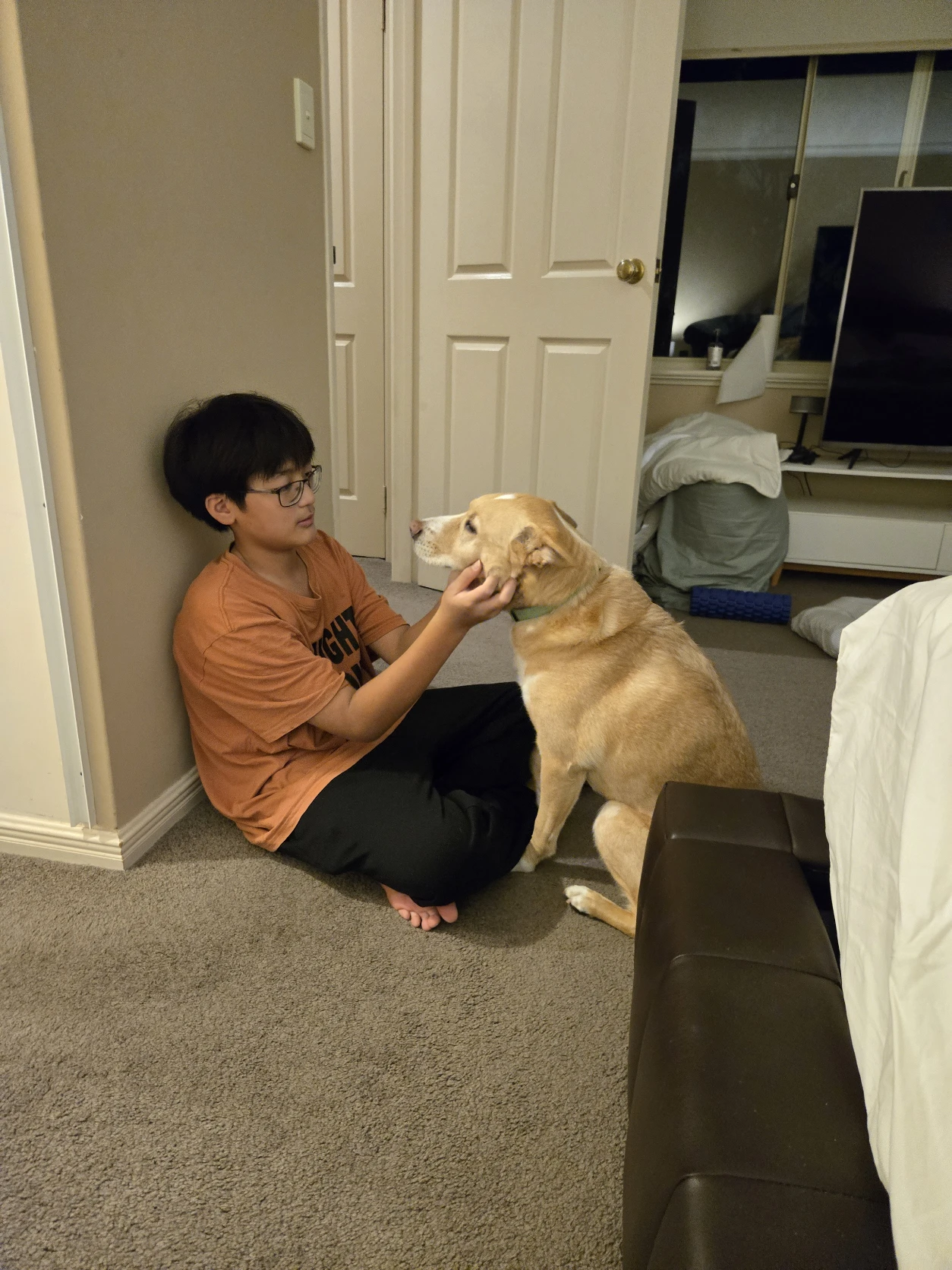 image-19
