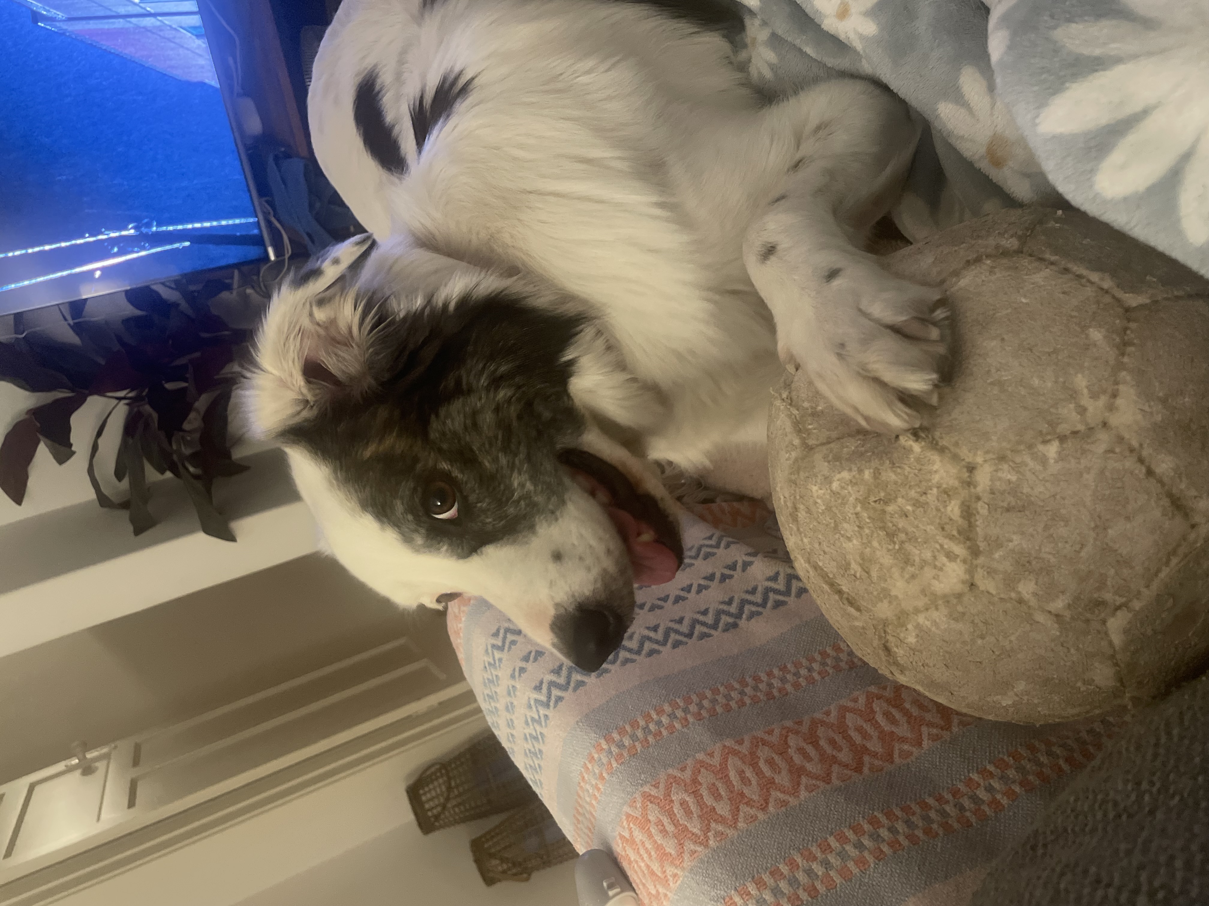 image-7