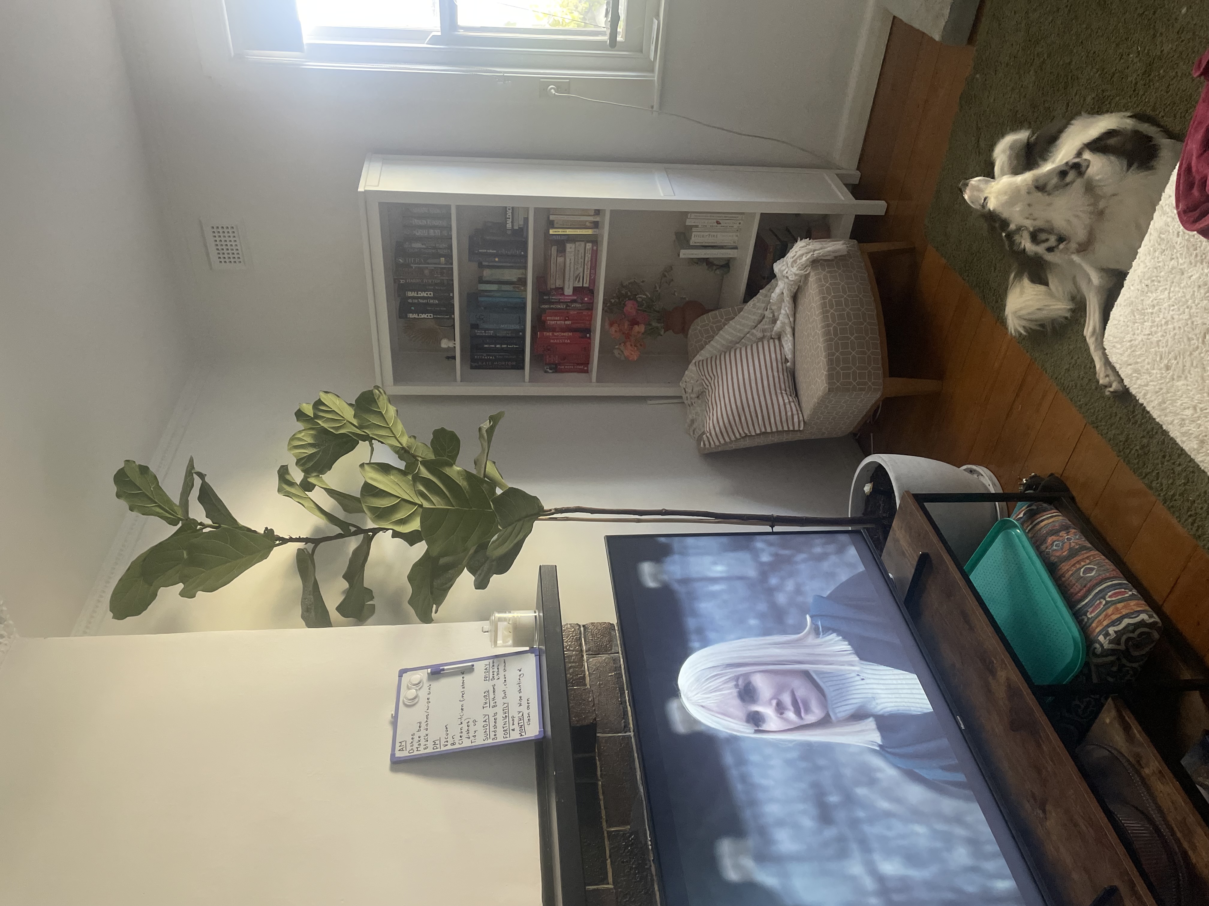 image-10