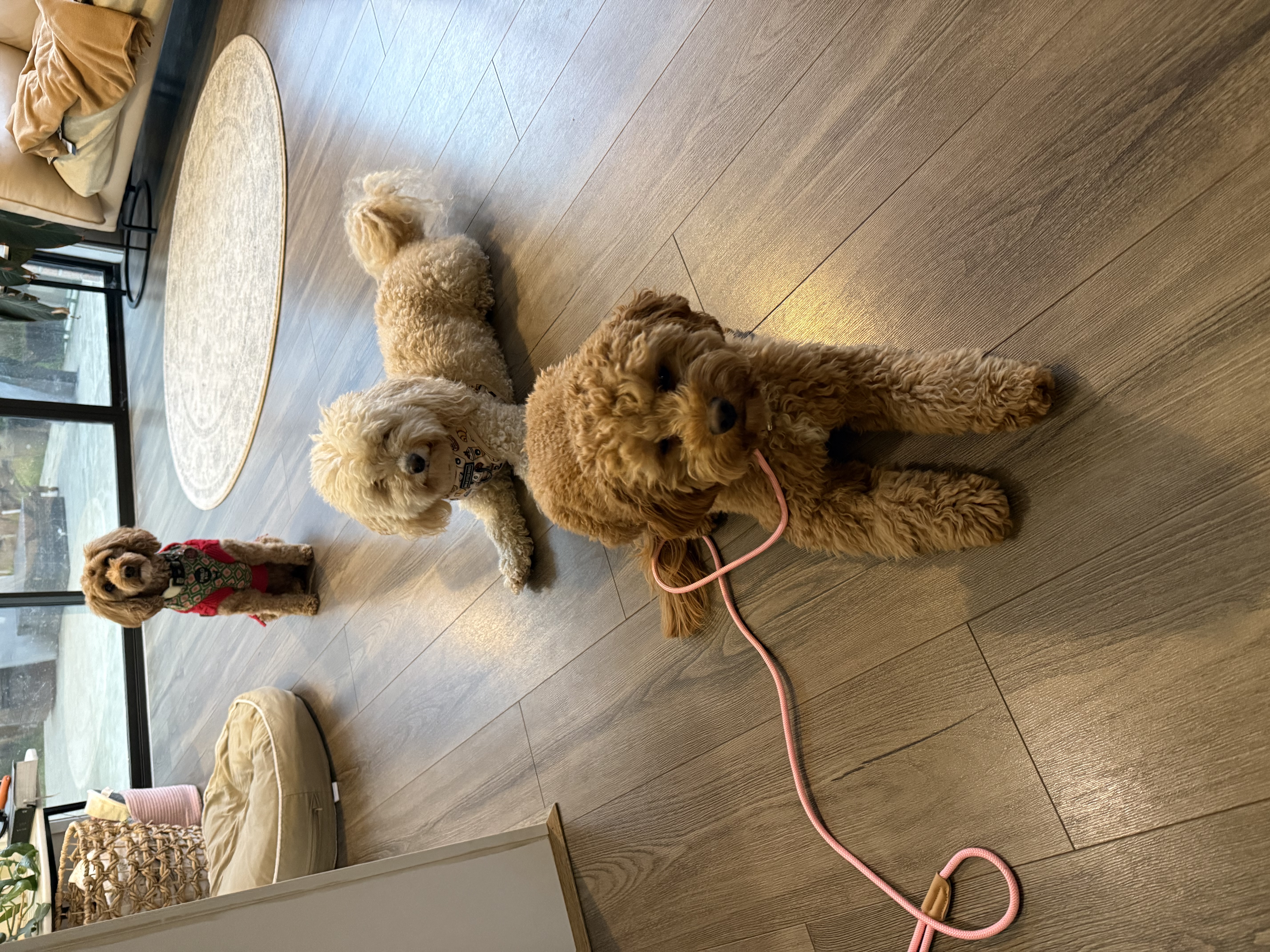 image-13