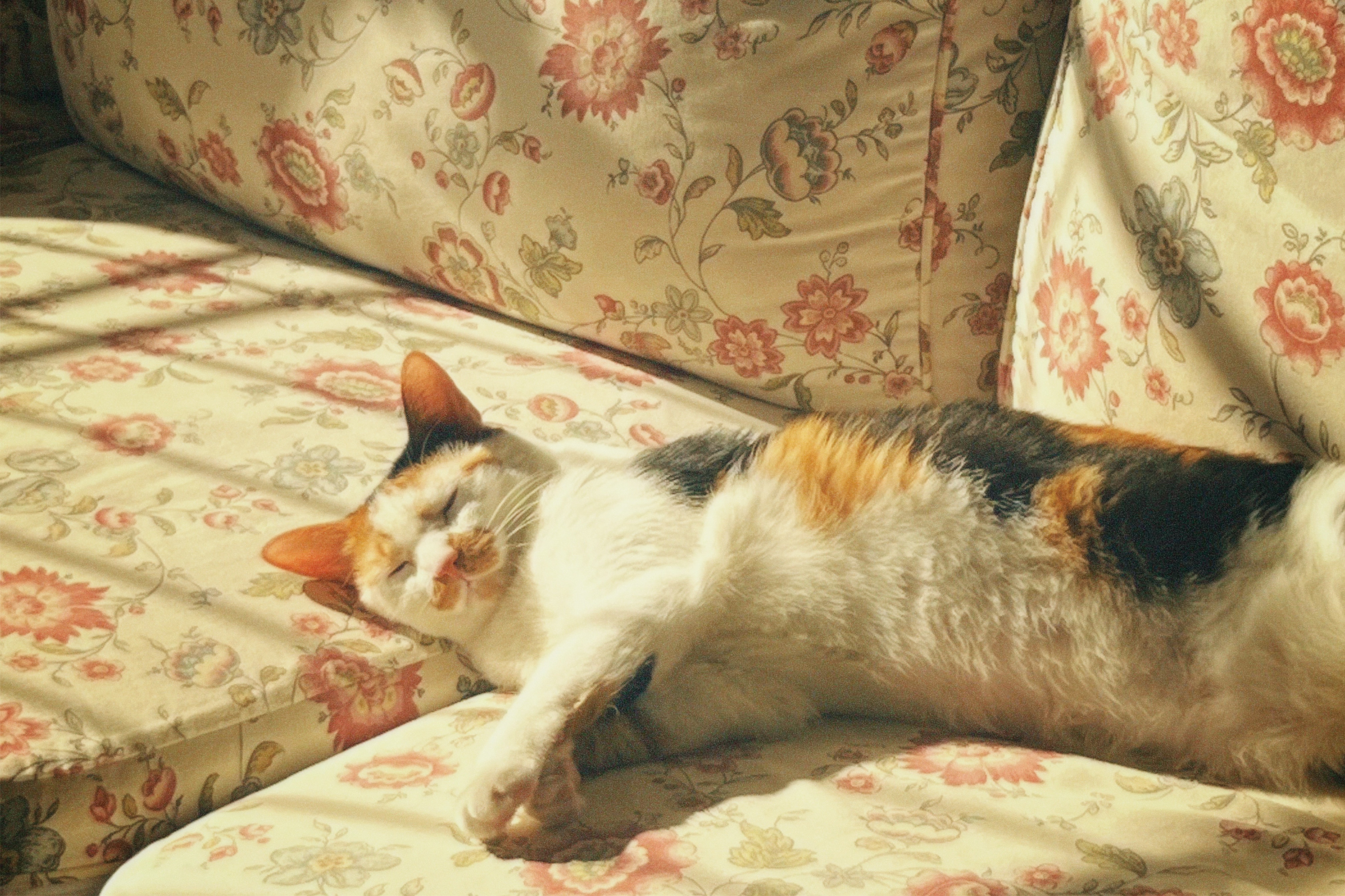 image-8