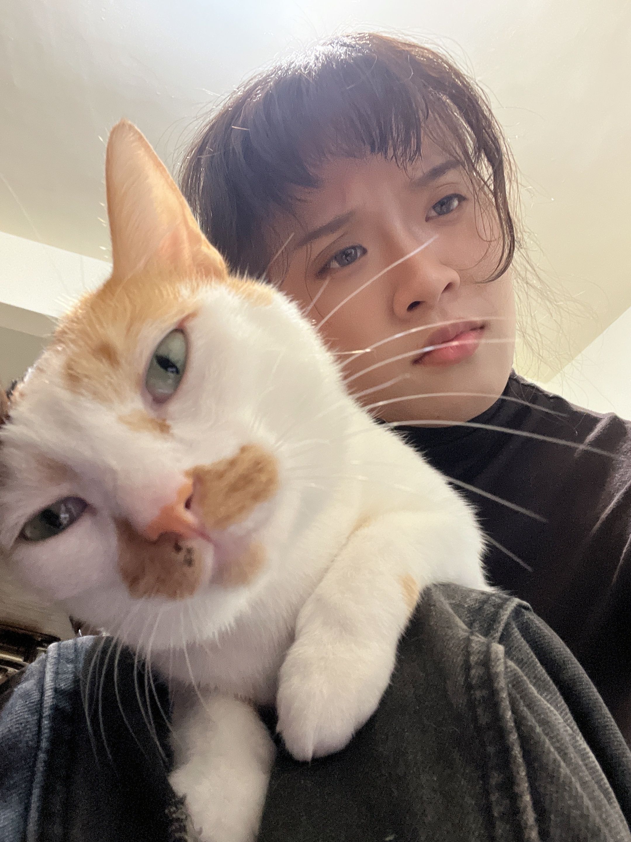 image-5