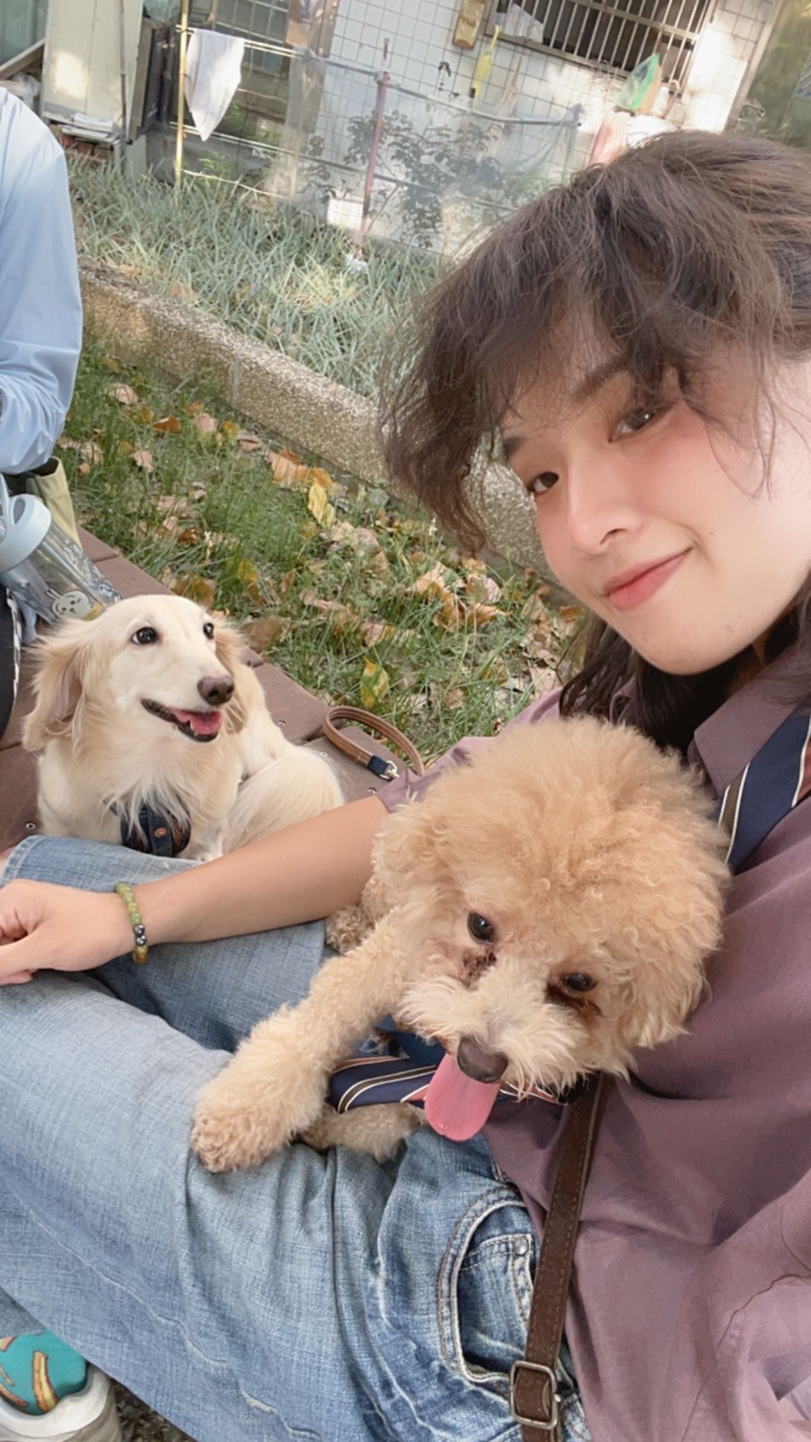 image-4