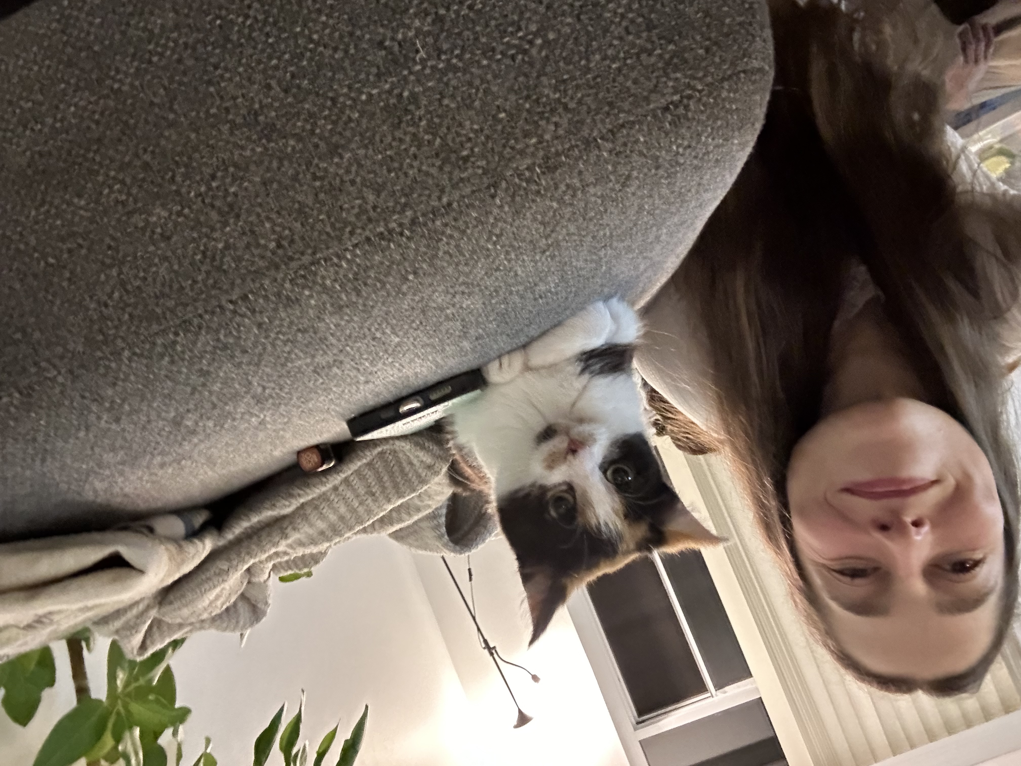 image-9