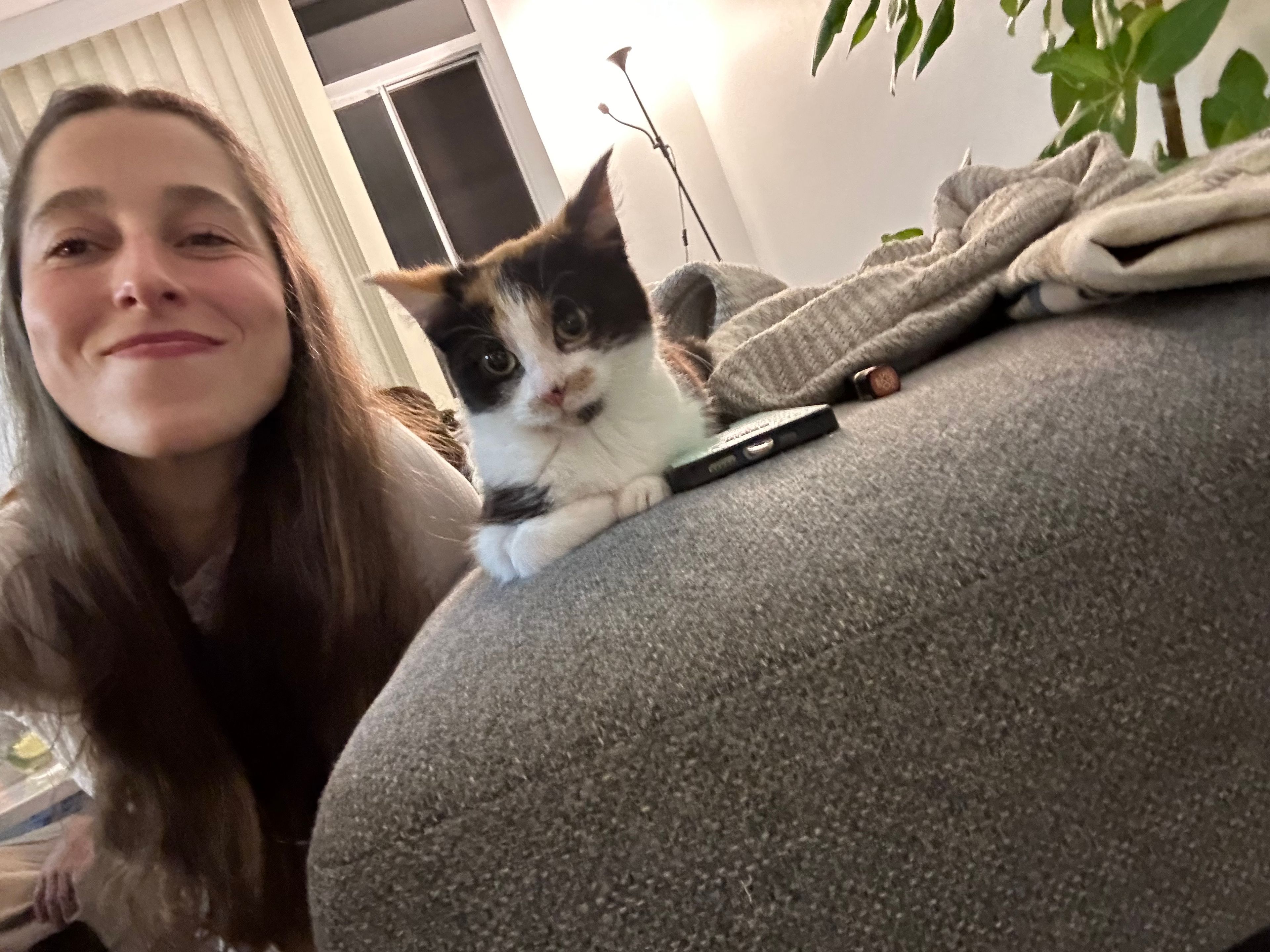 image-9