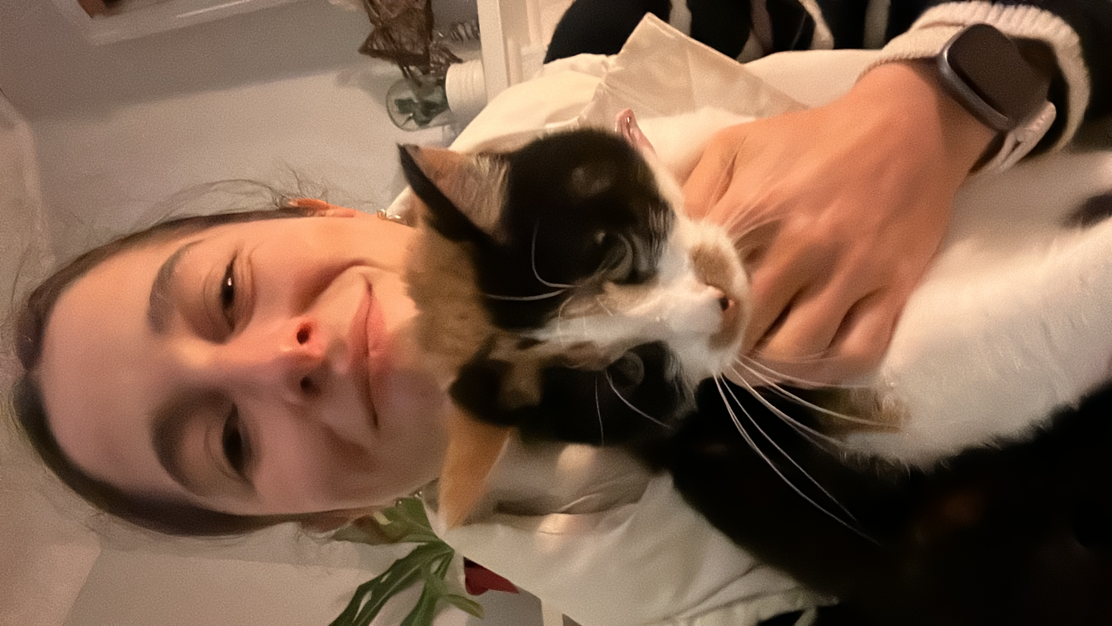 image-10