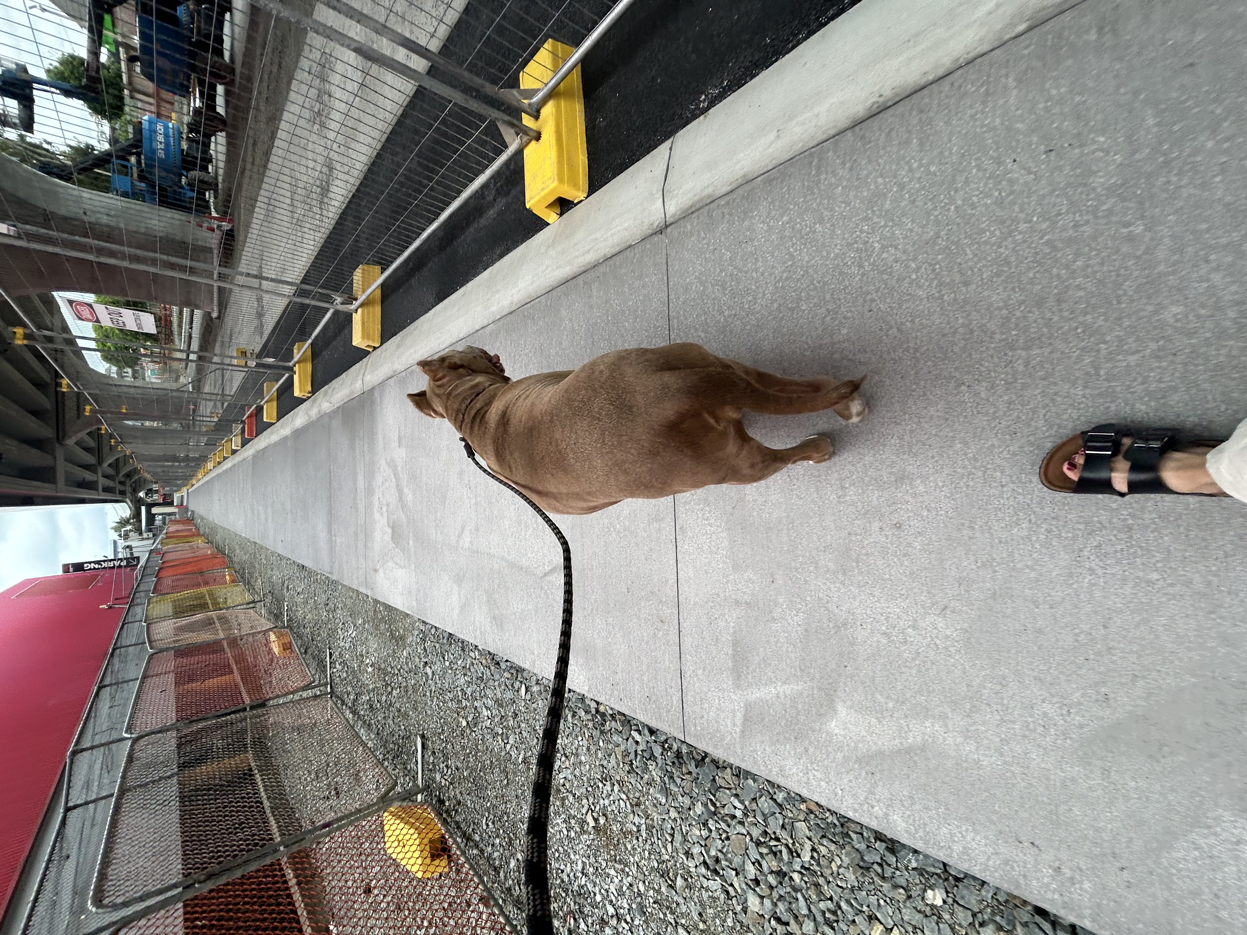 image-0