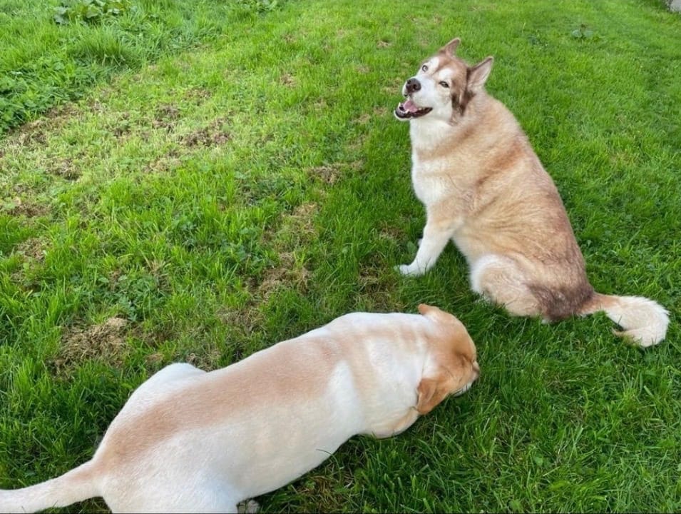 image-23