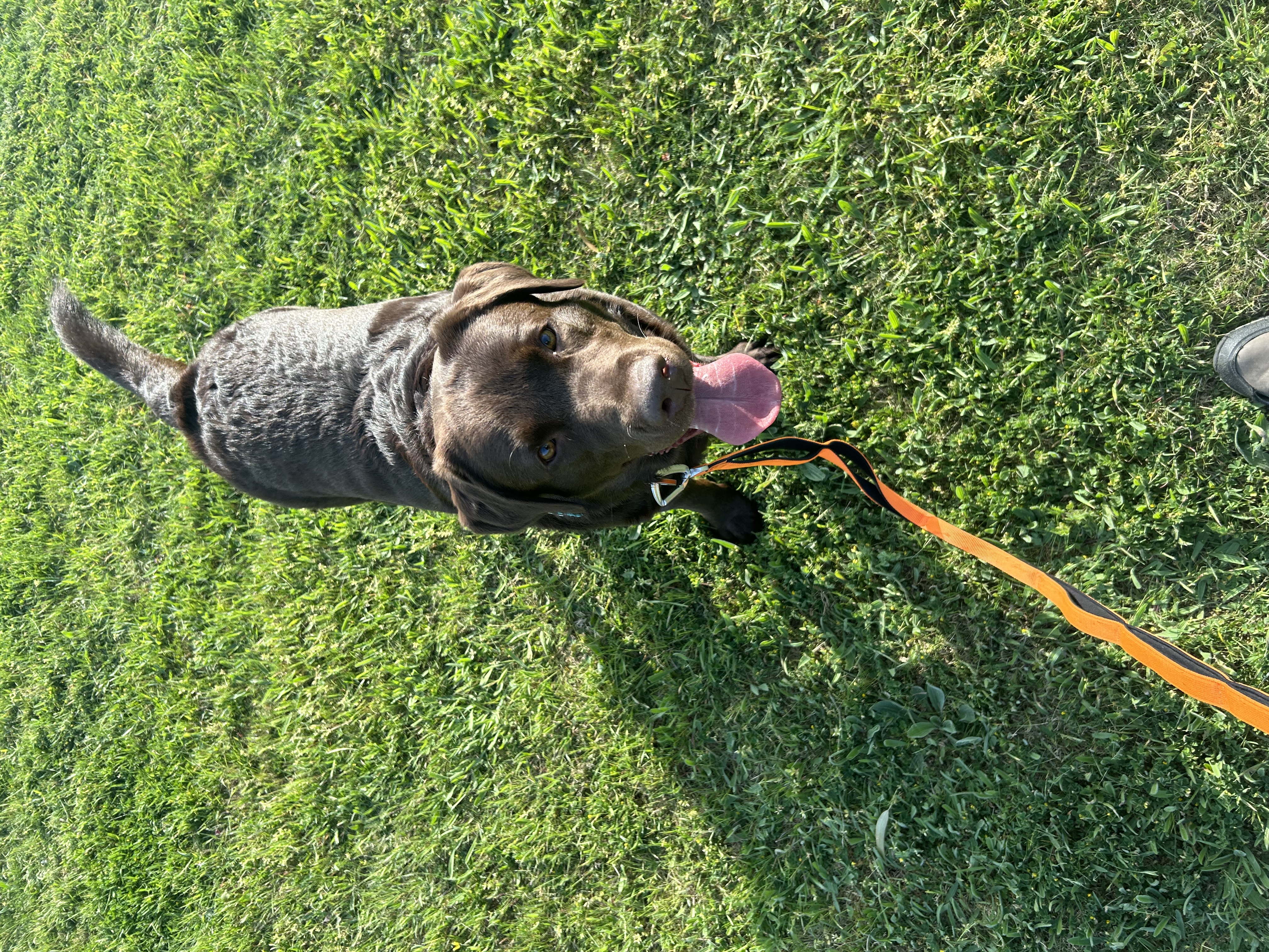 image-9