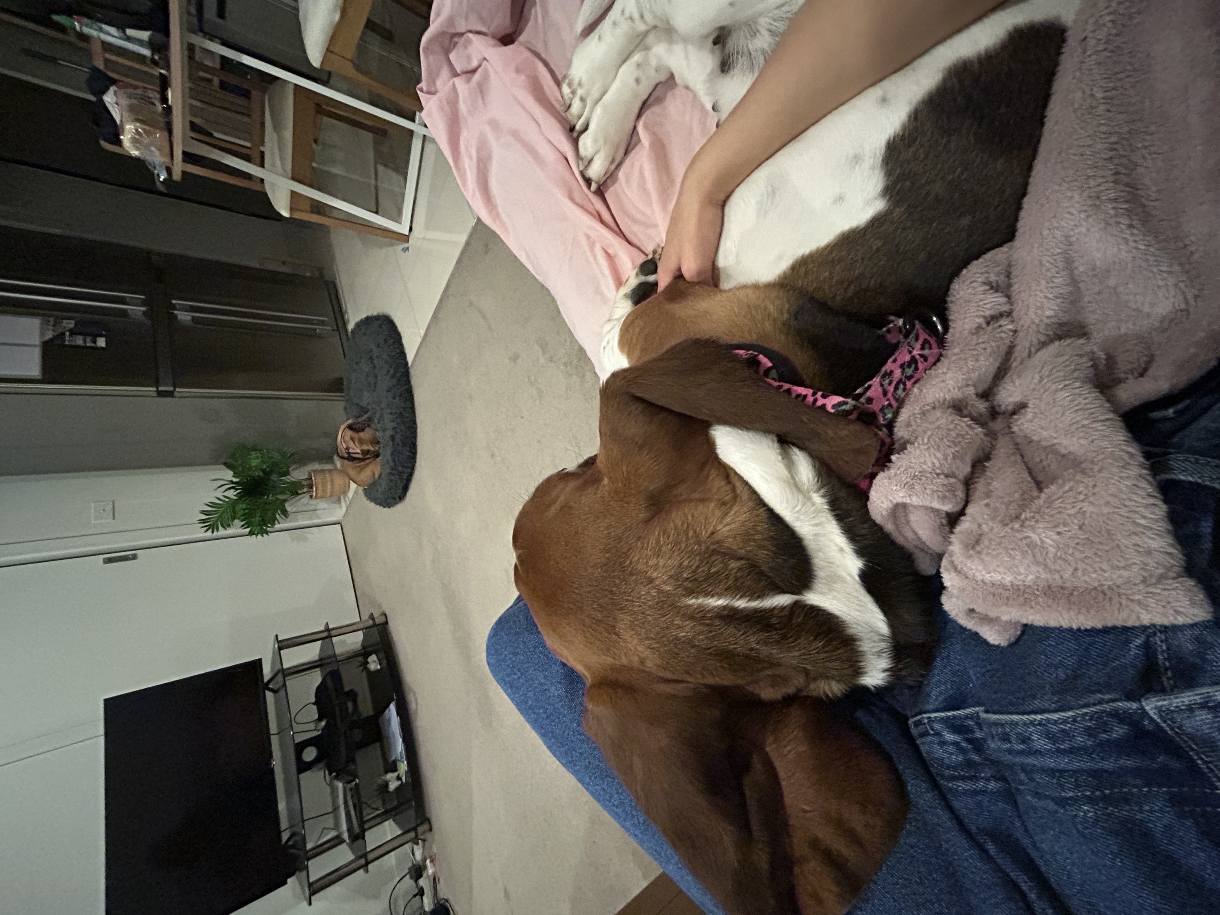 image-10