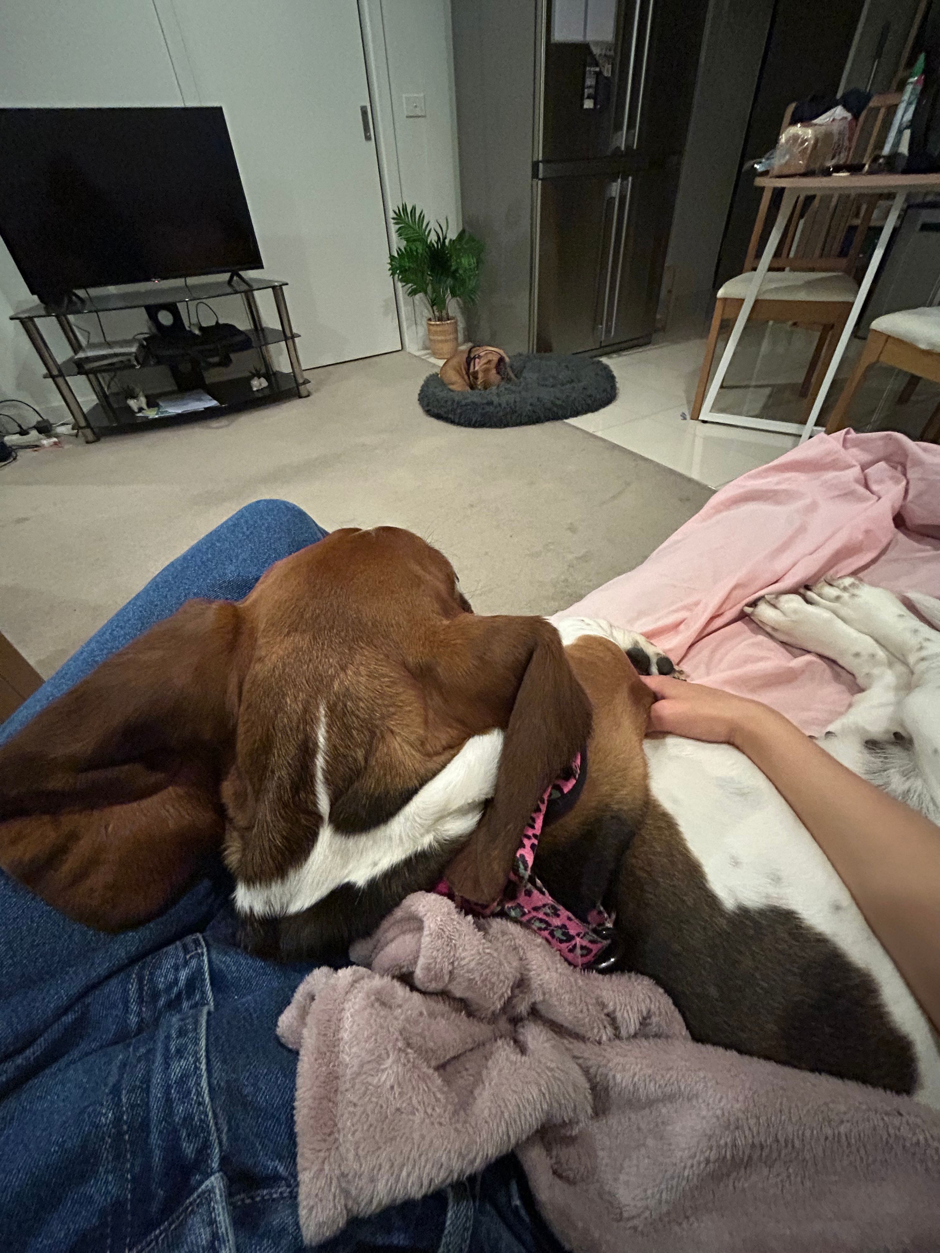 image-10