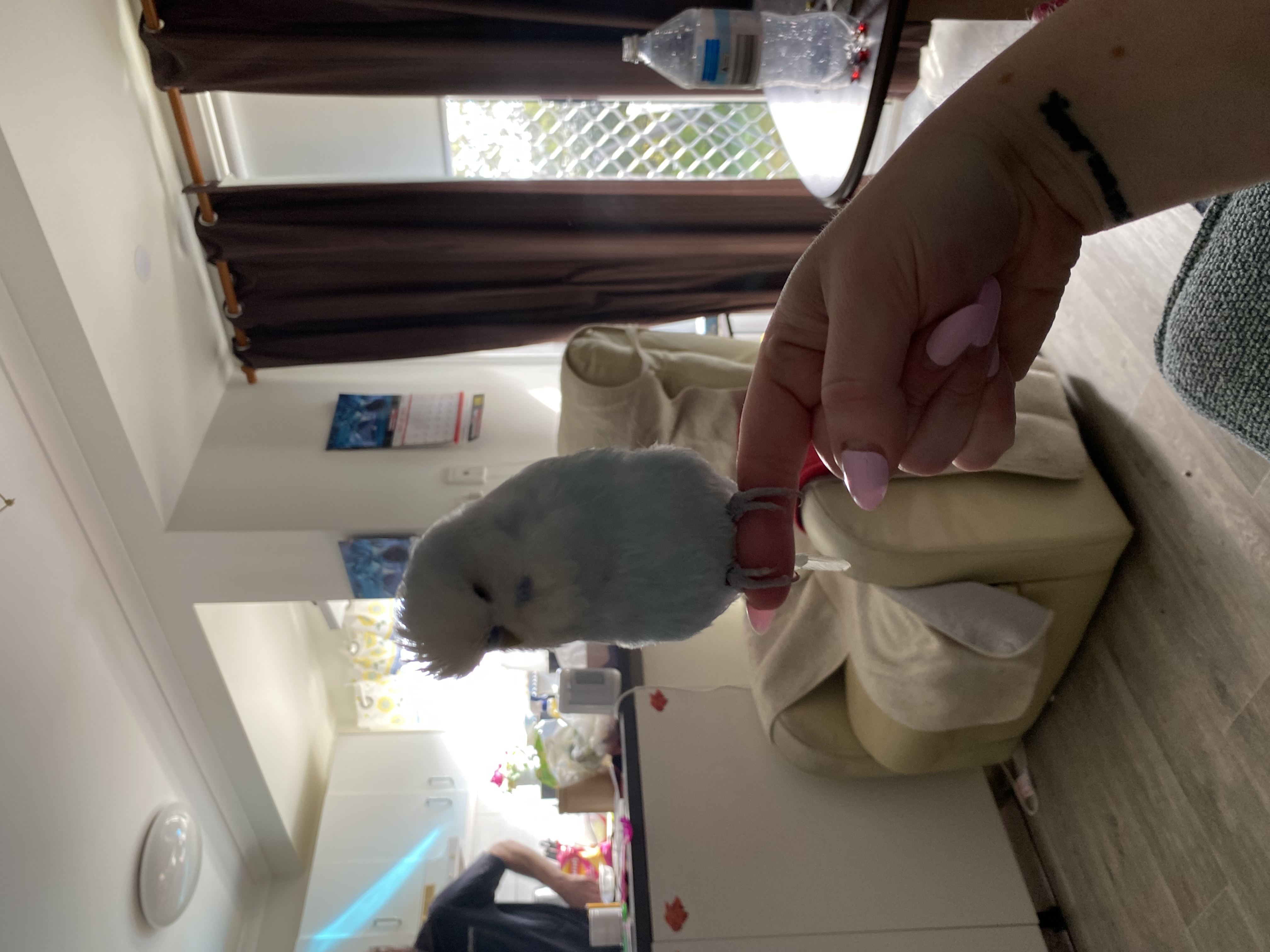 image-14
