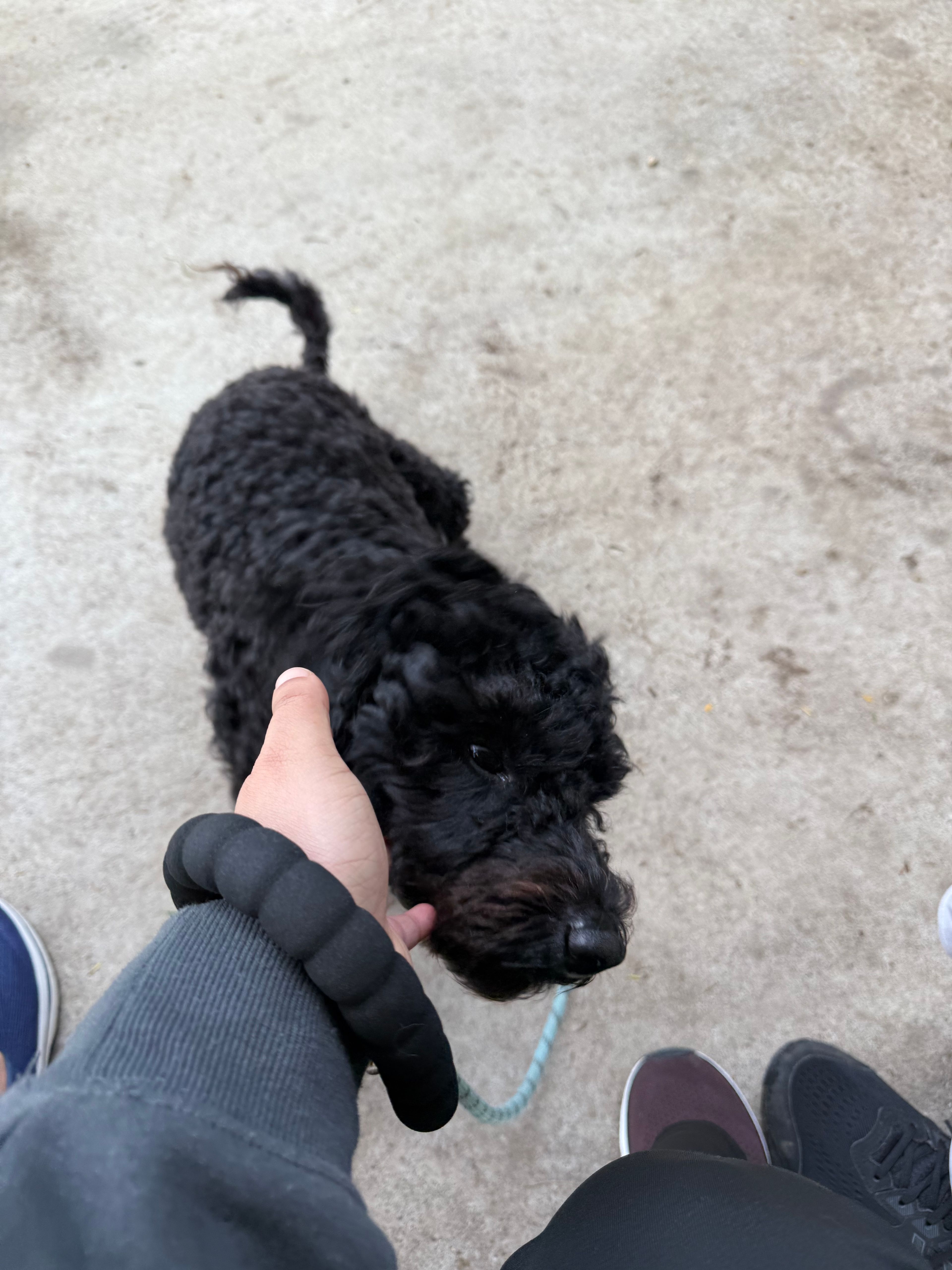 image-8