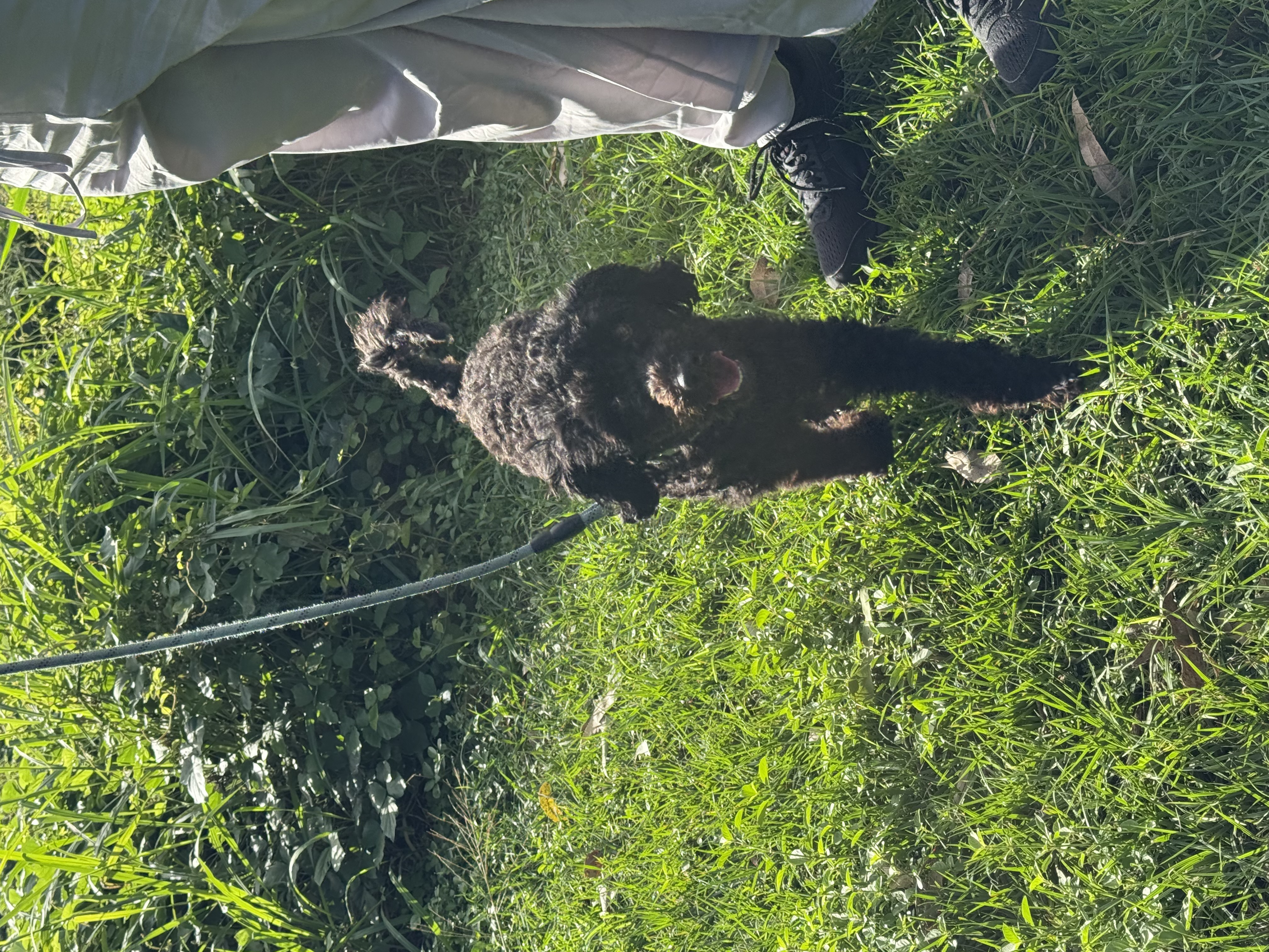 image-7