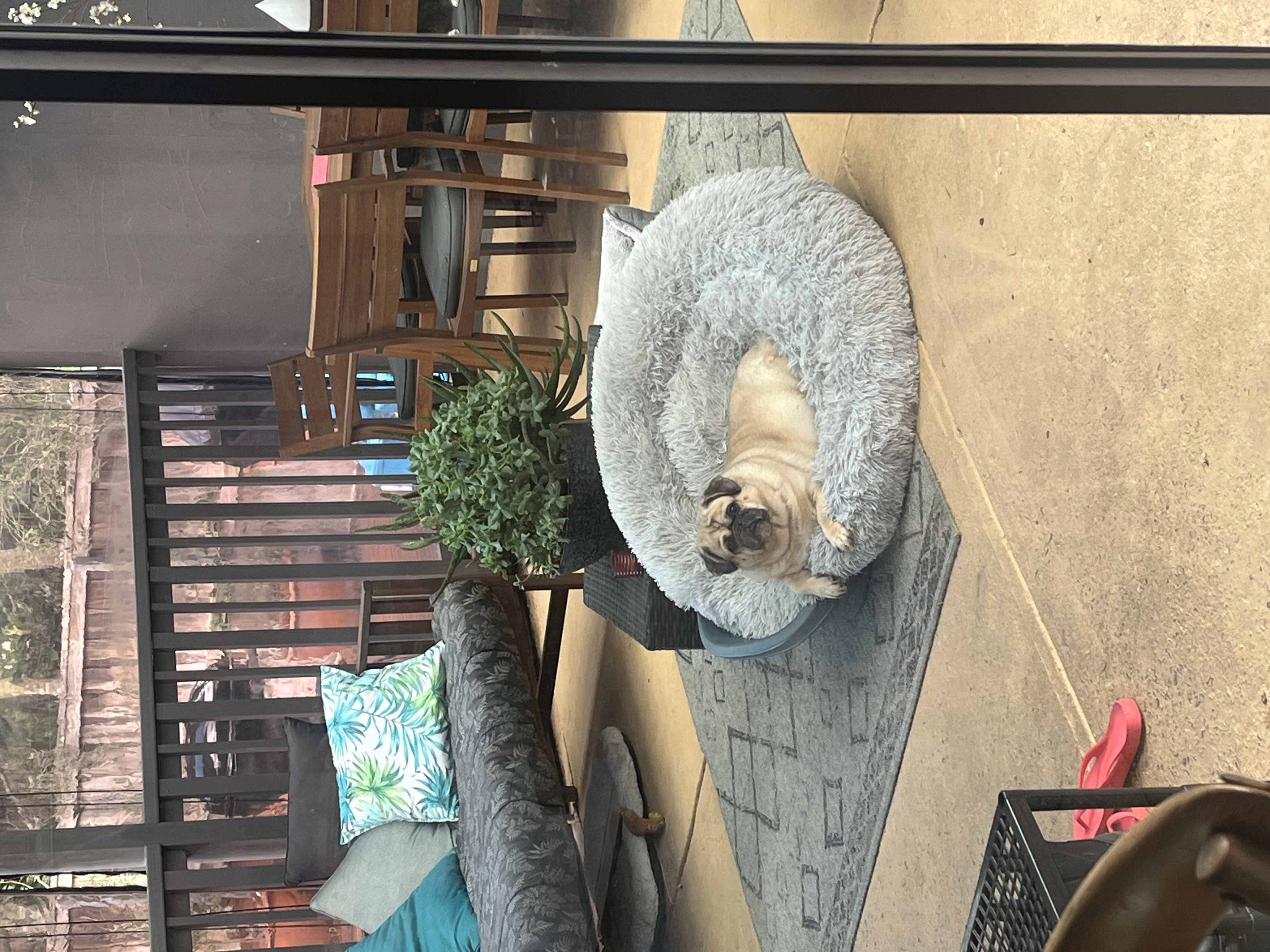 image-7