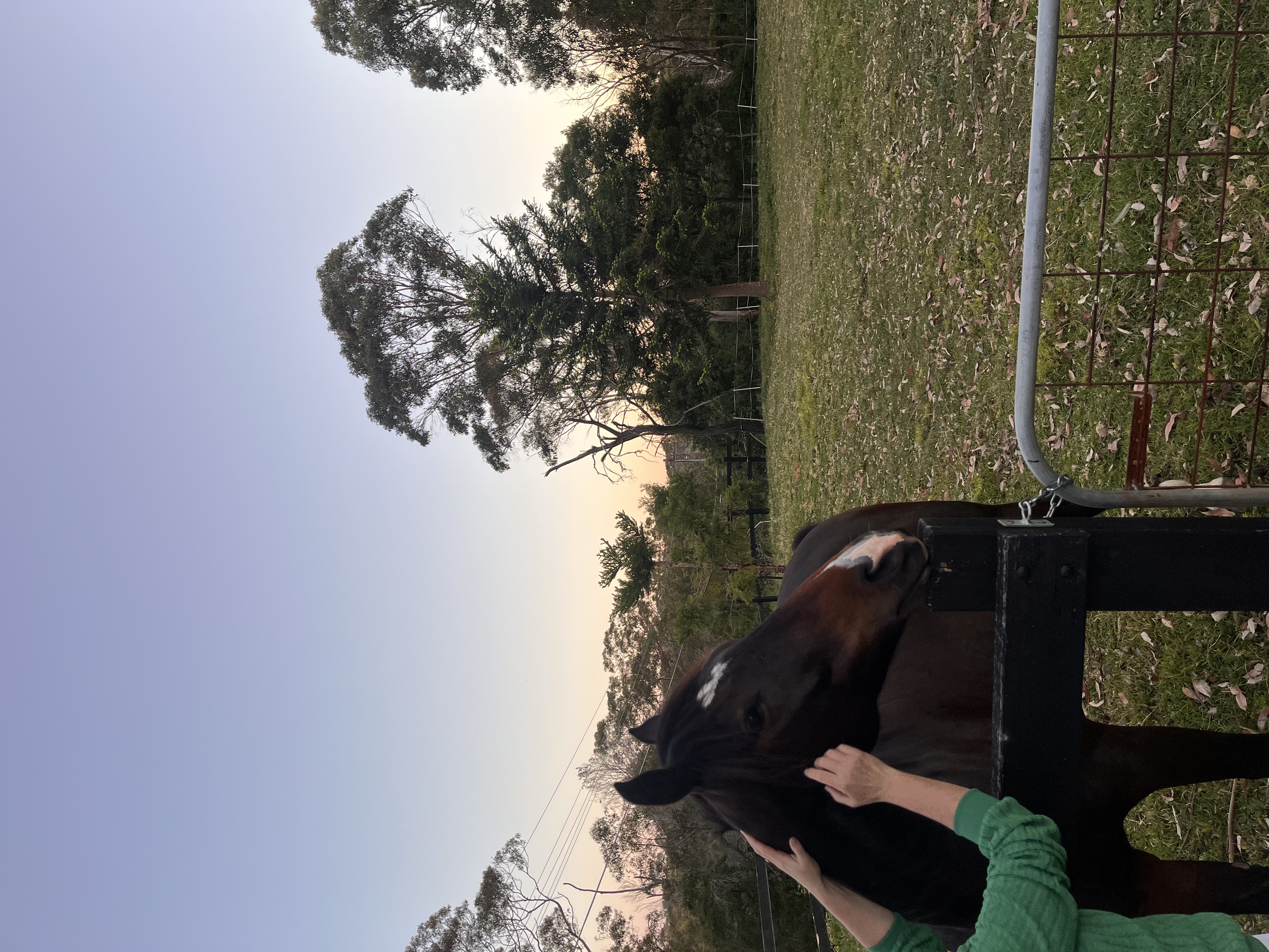 image-5