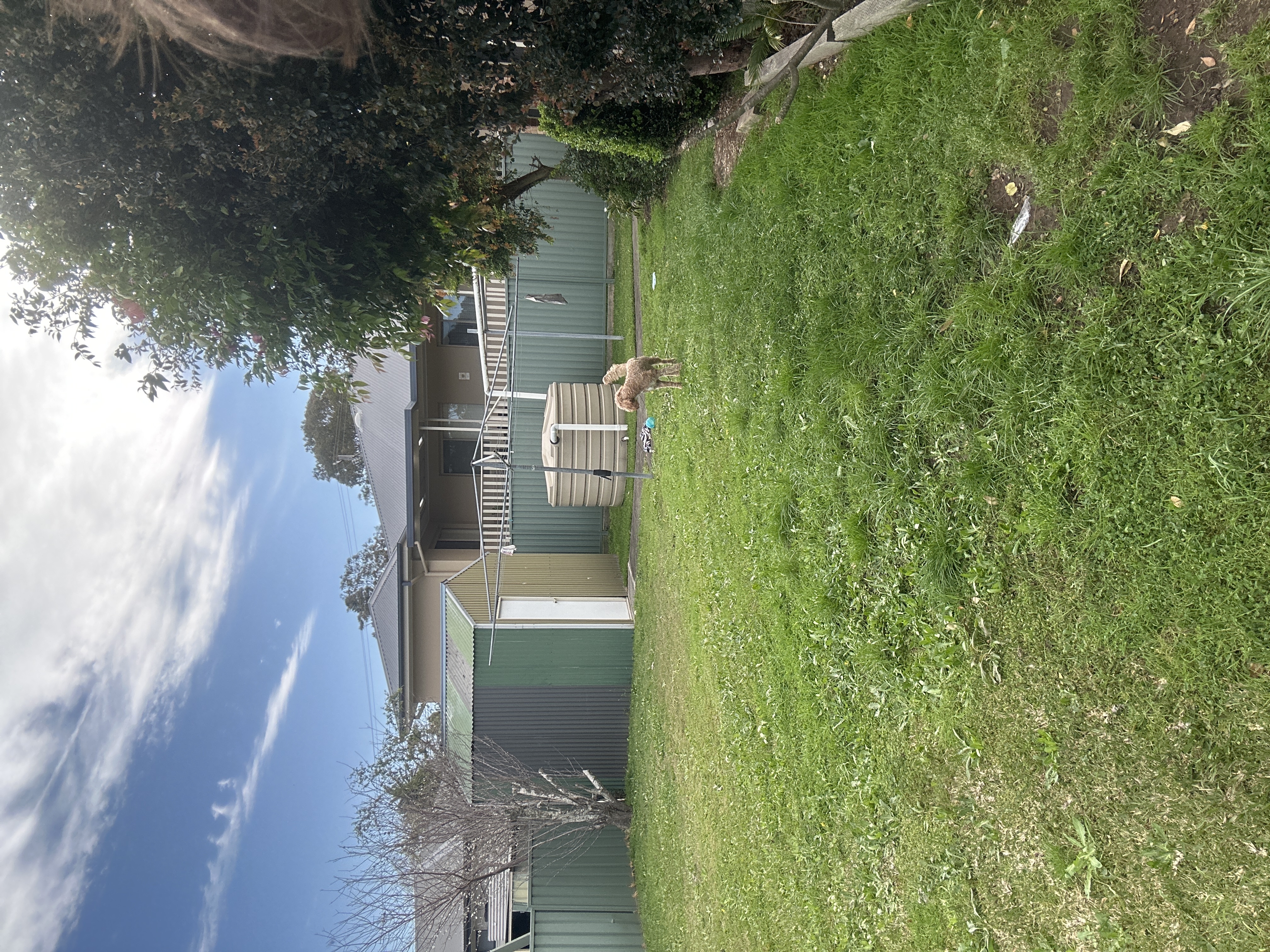 image-15