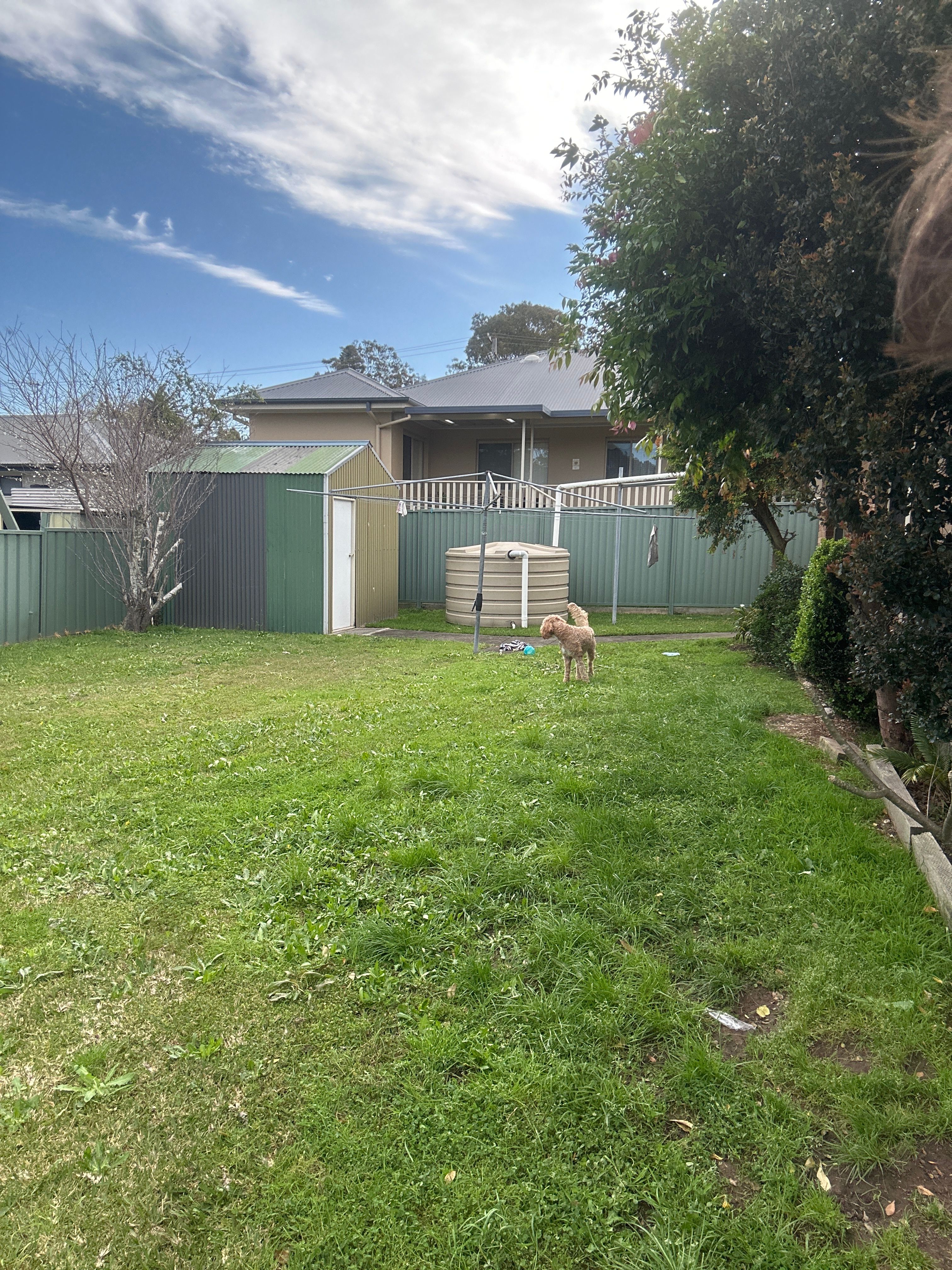 image-15