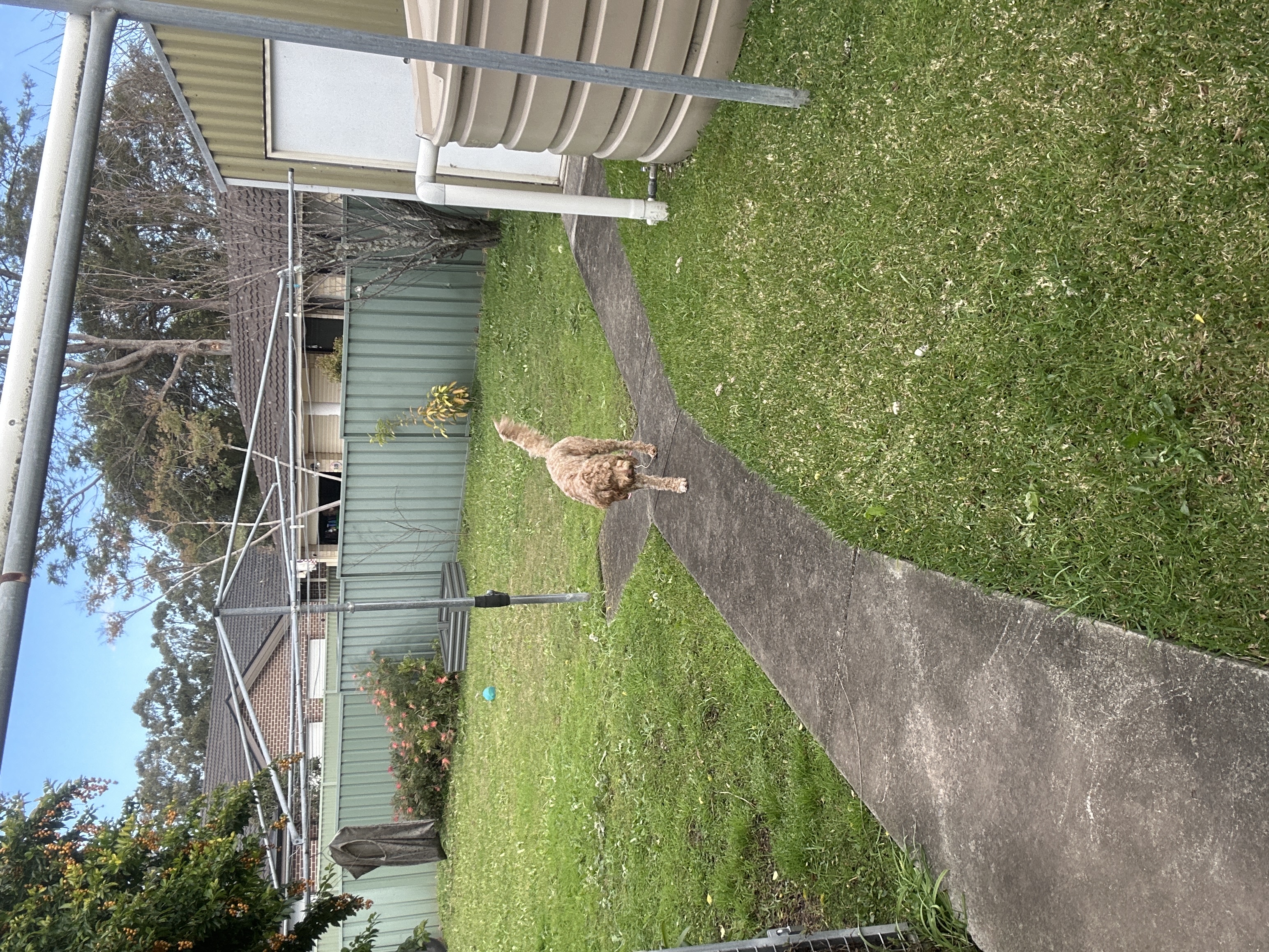 image-16