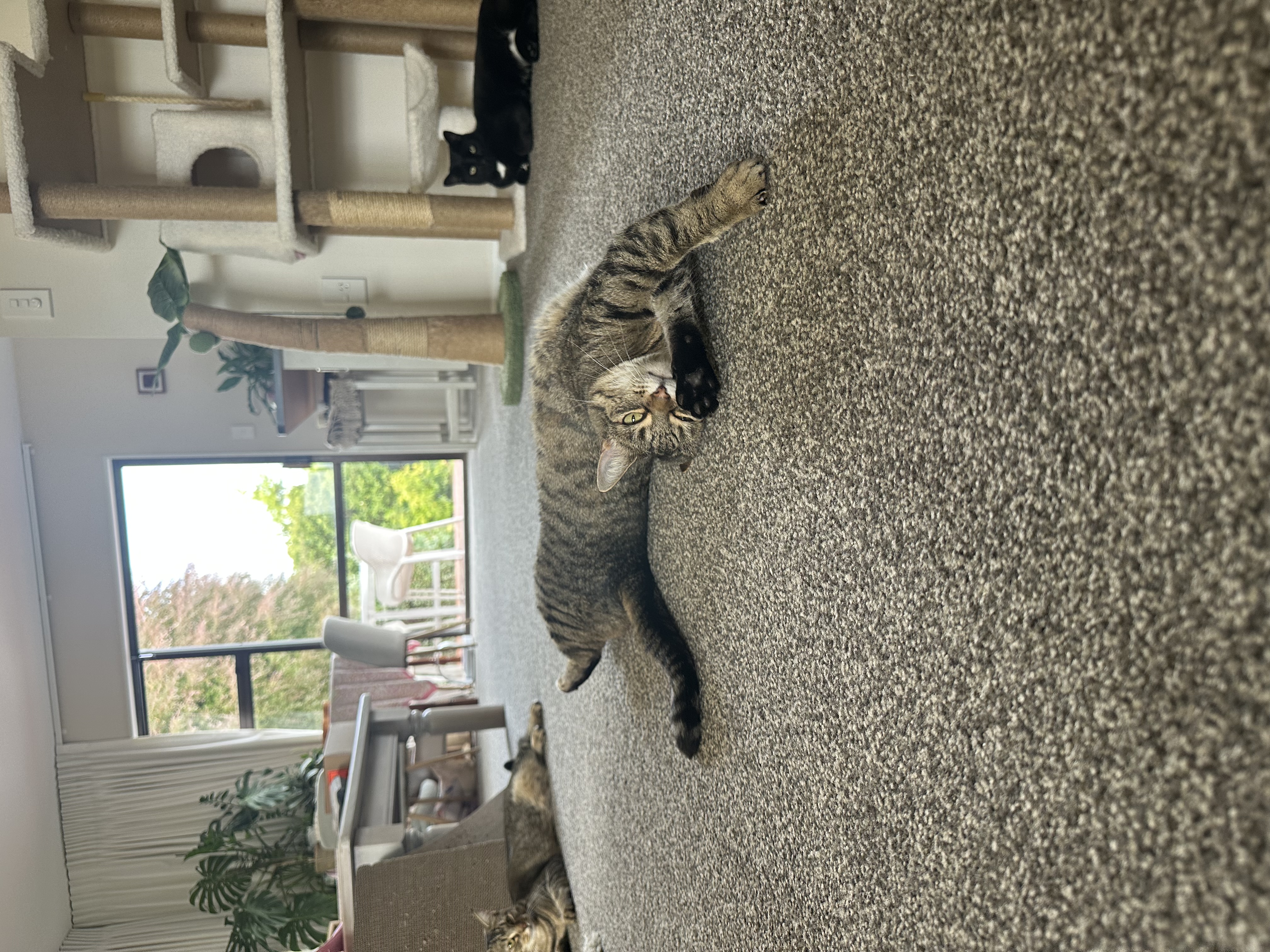 image-14