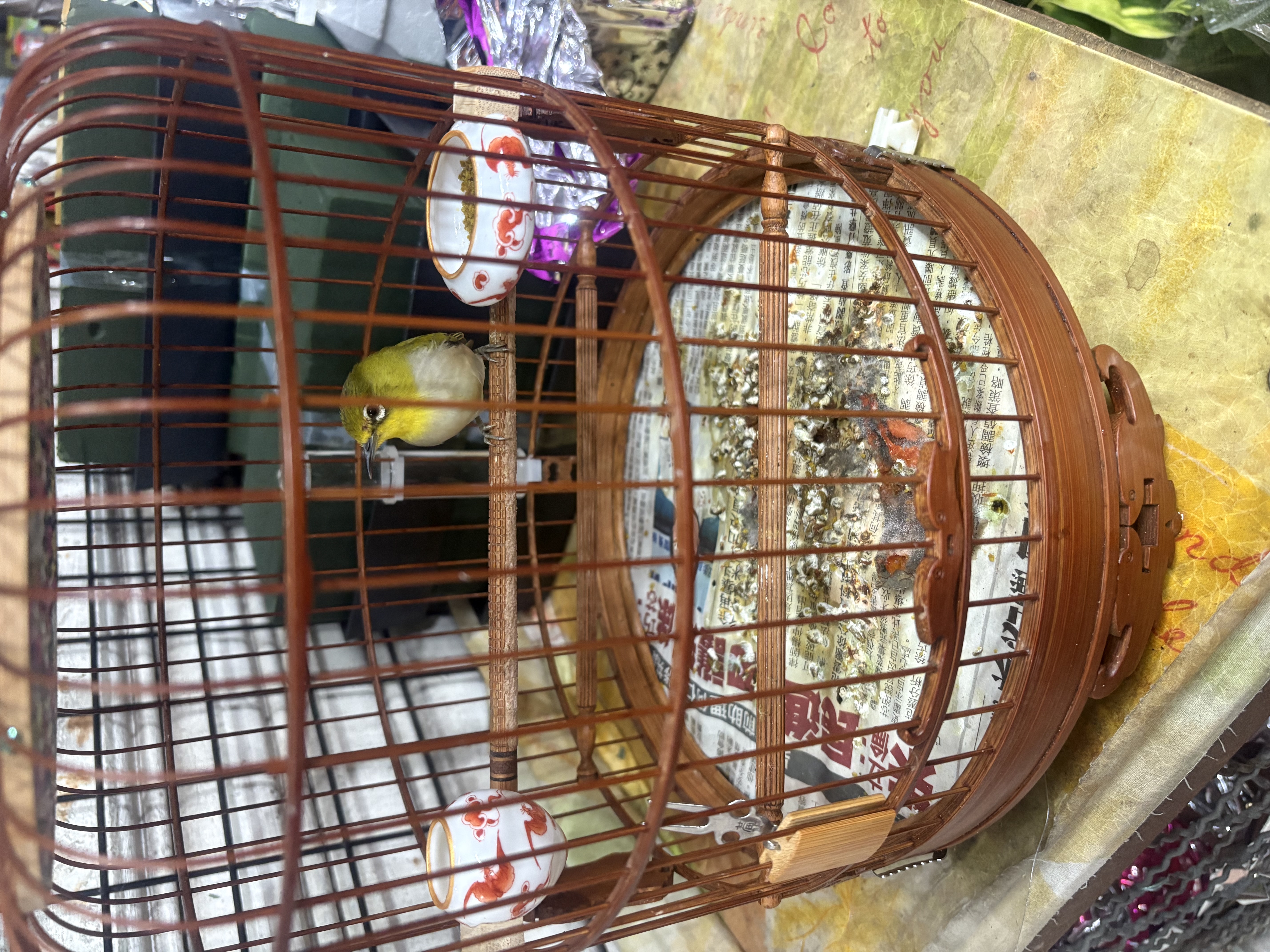 image-7