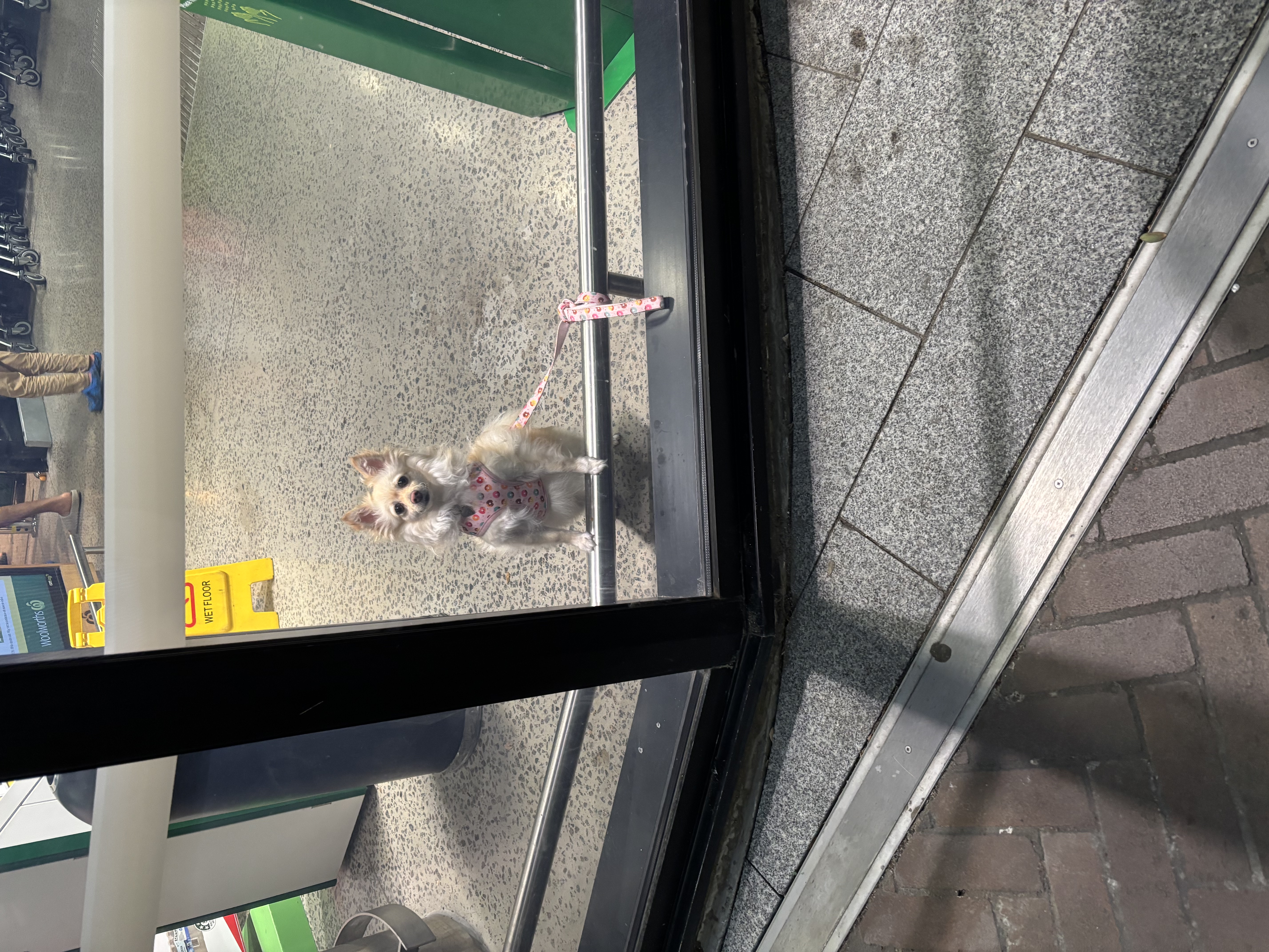 image-6