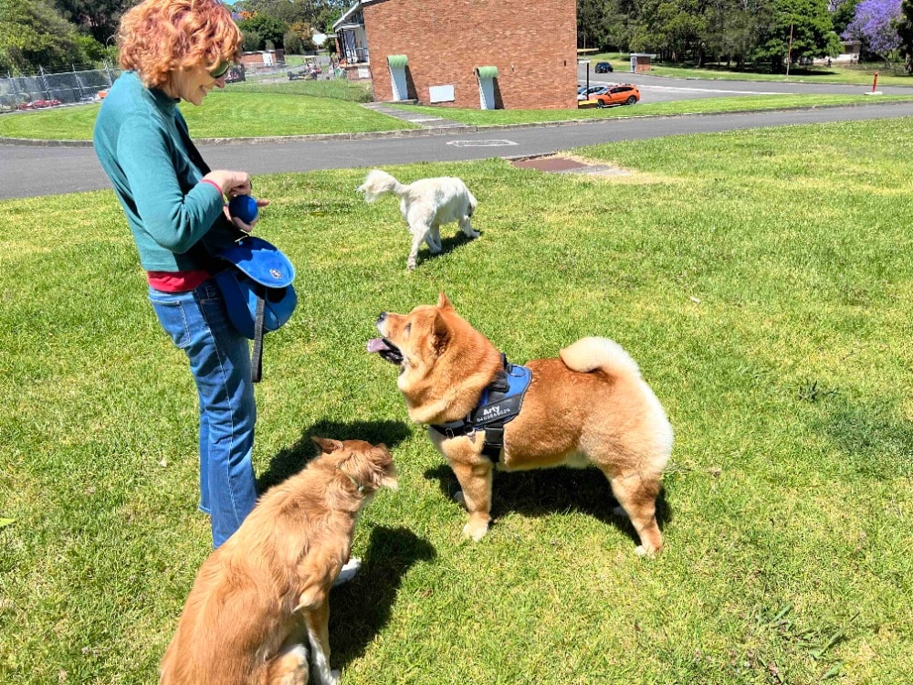 image-0