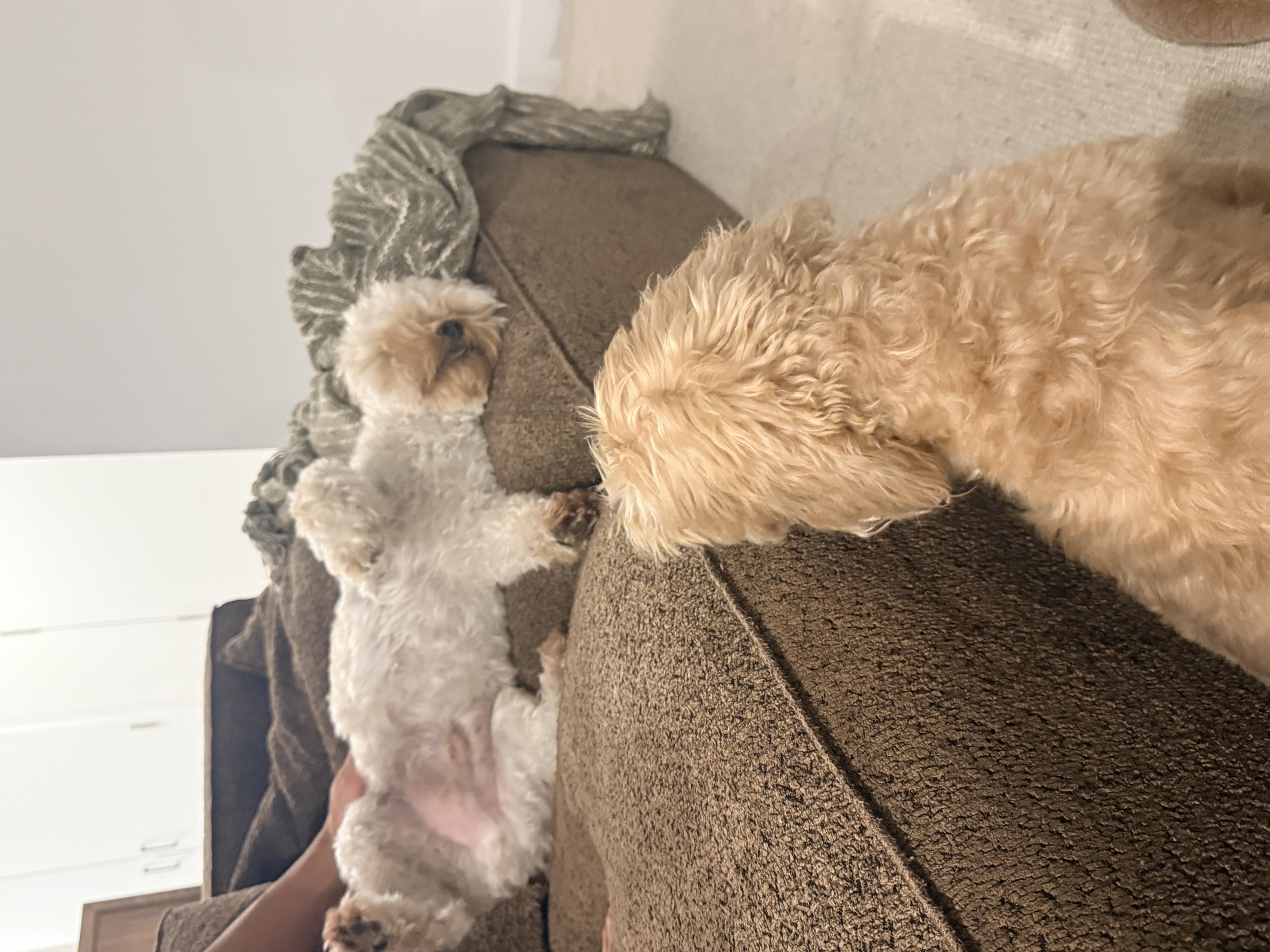 image-18