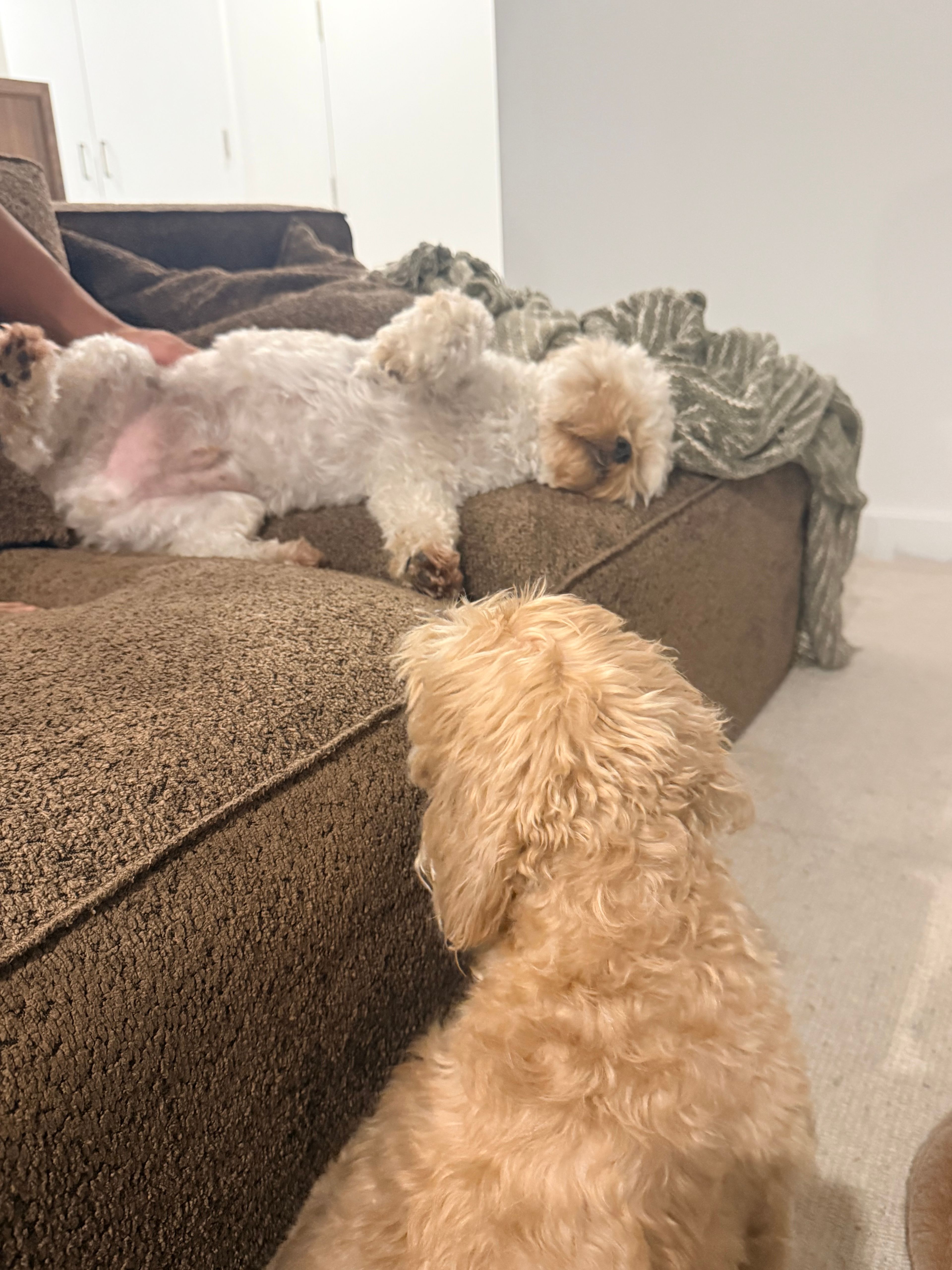 image-18