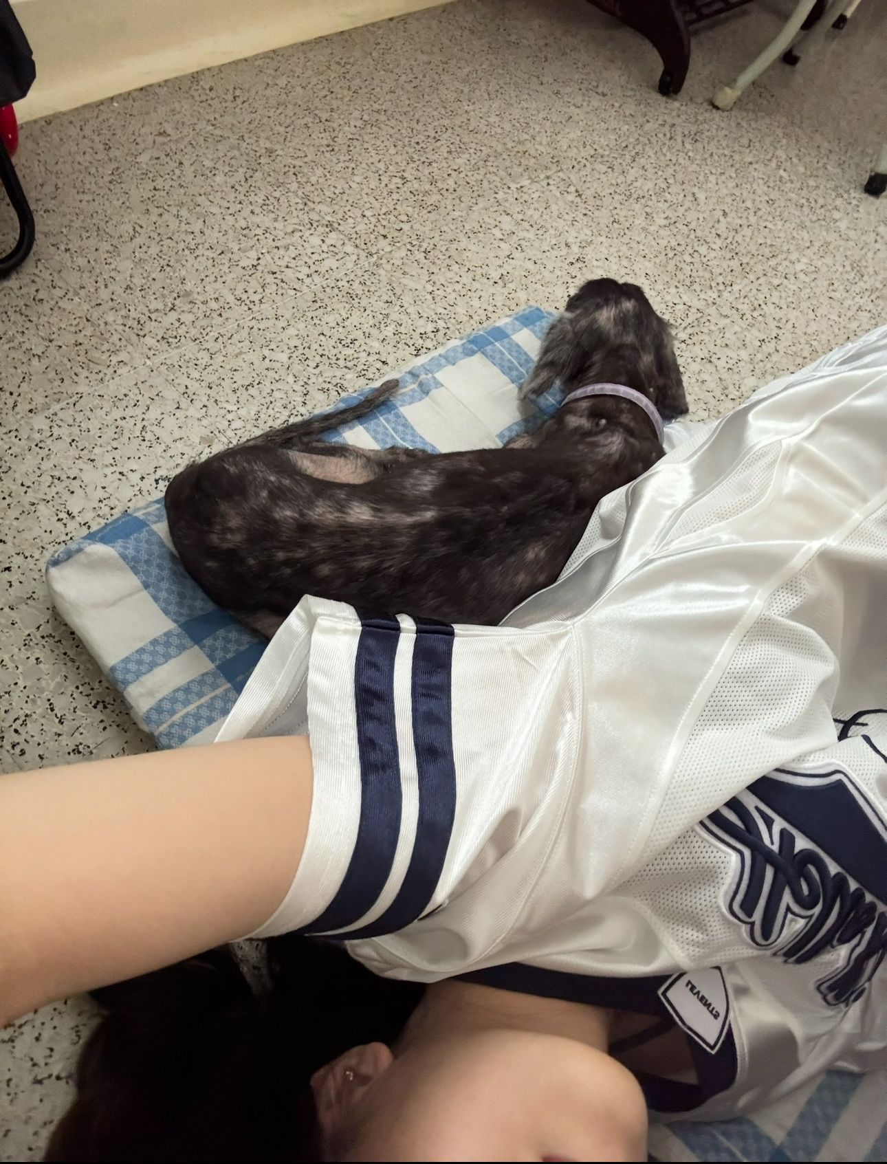 image-10