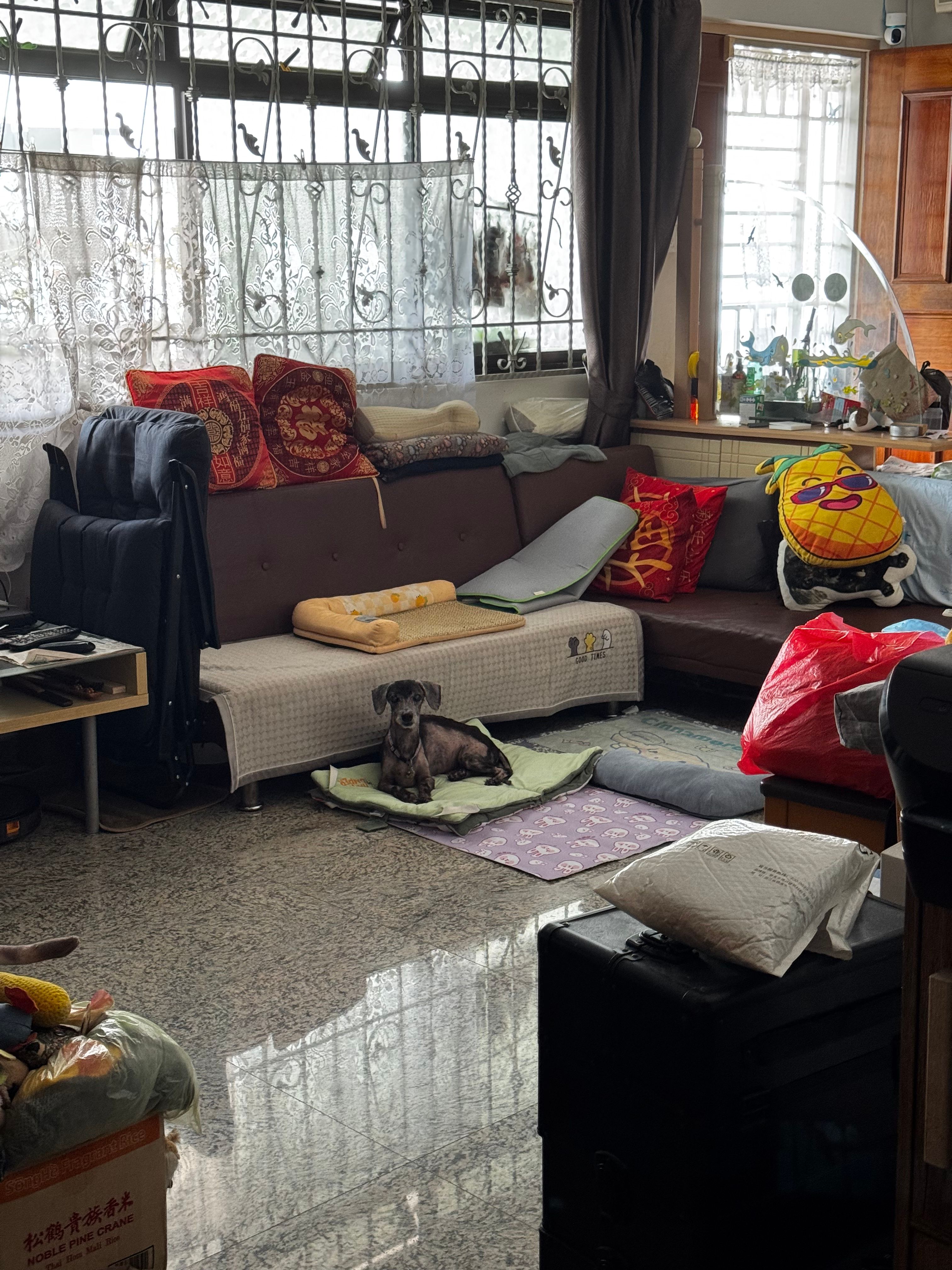 image-14