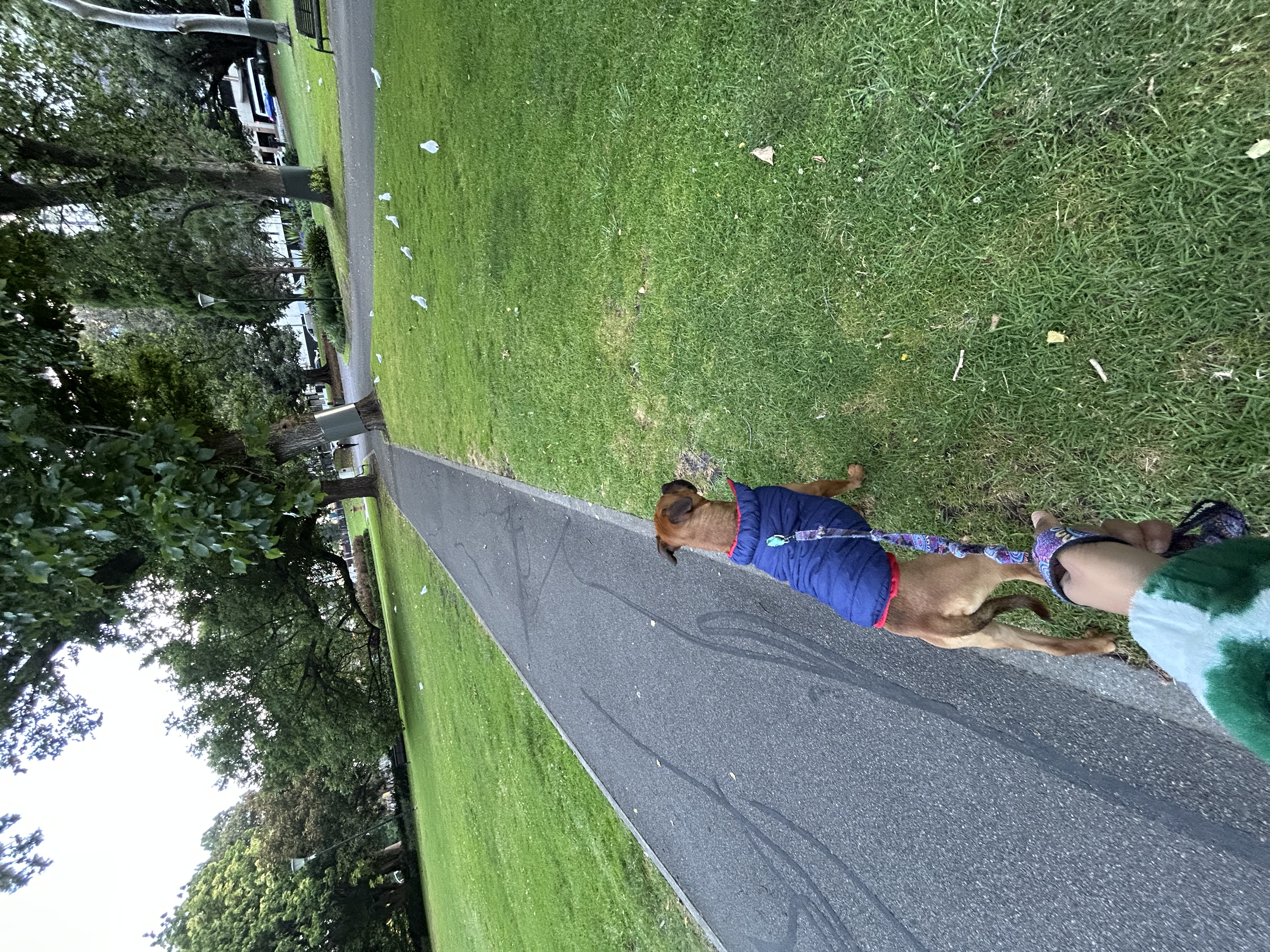 image-10