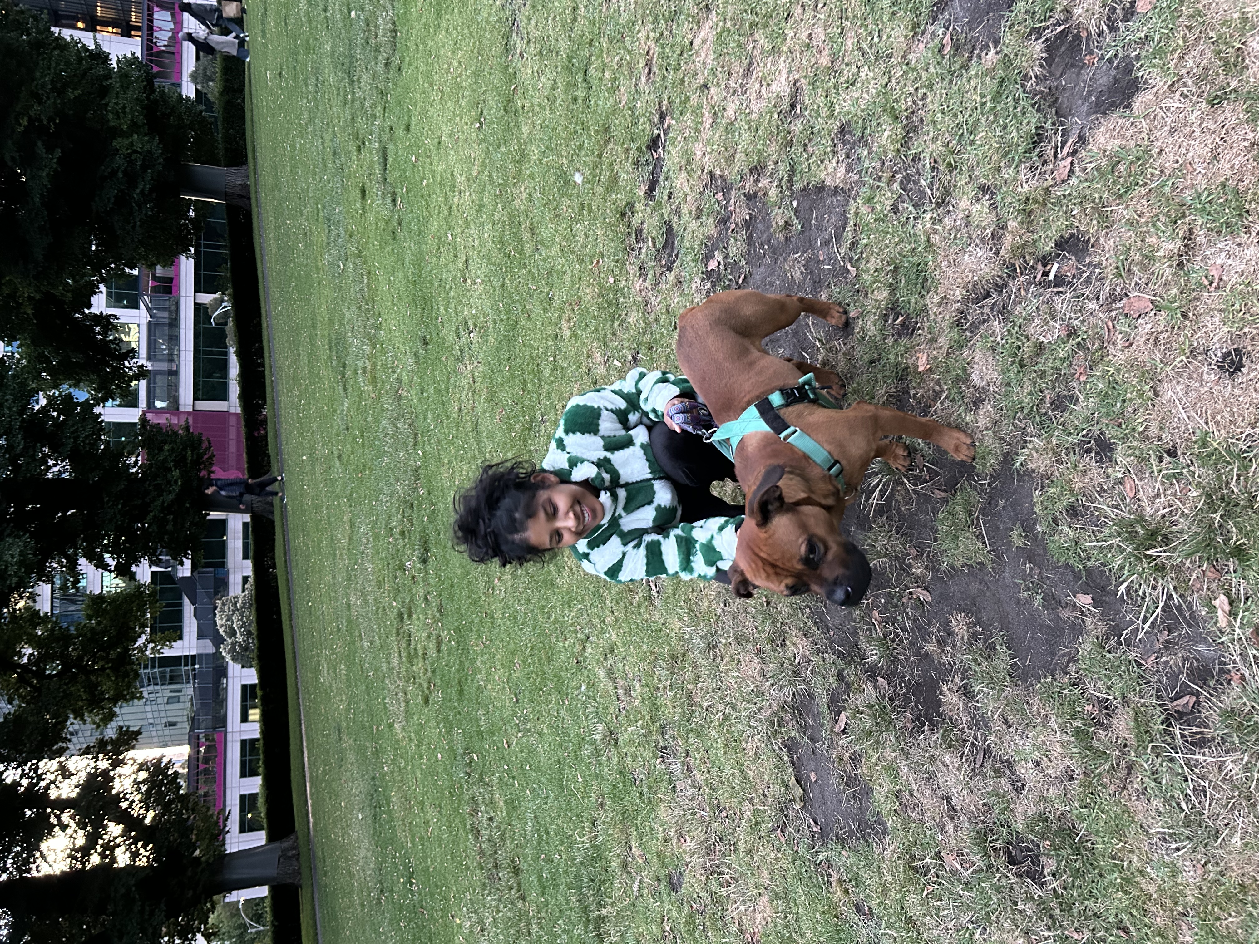 image-11