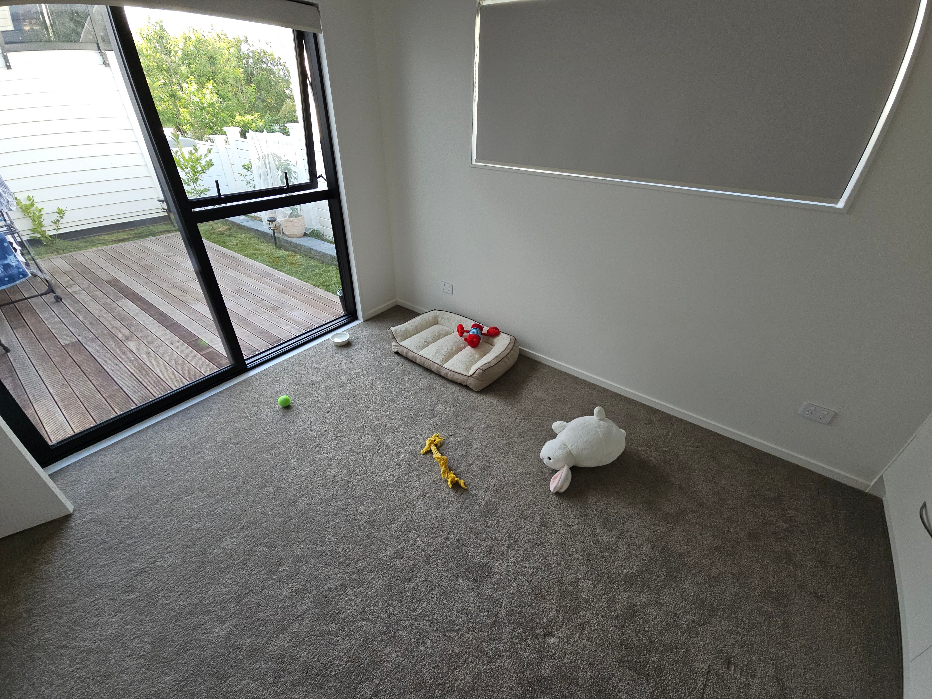 image-45