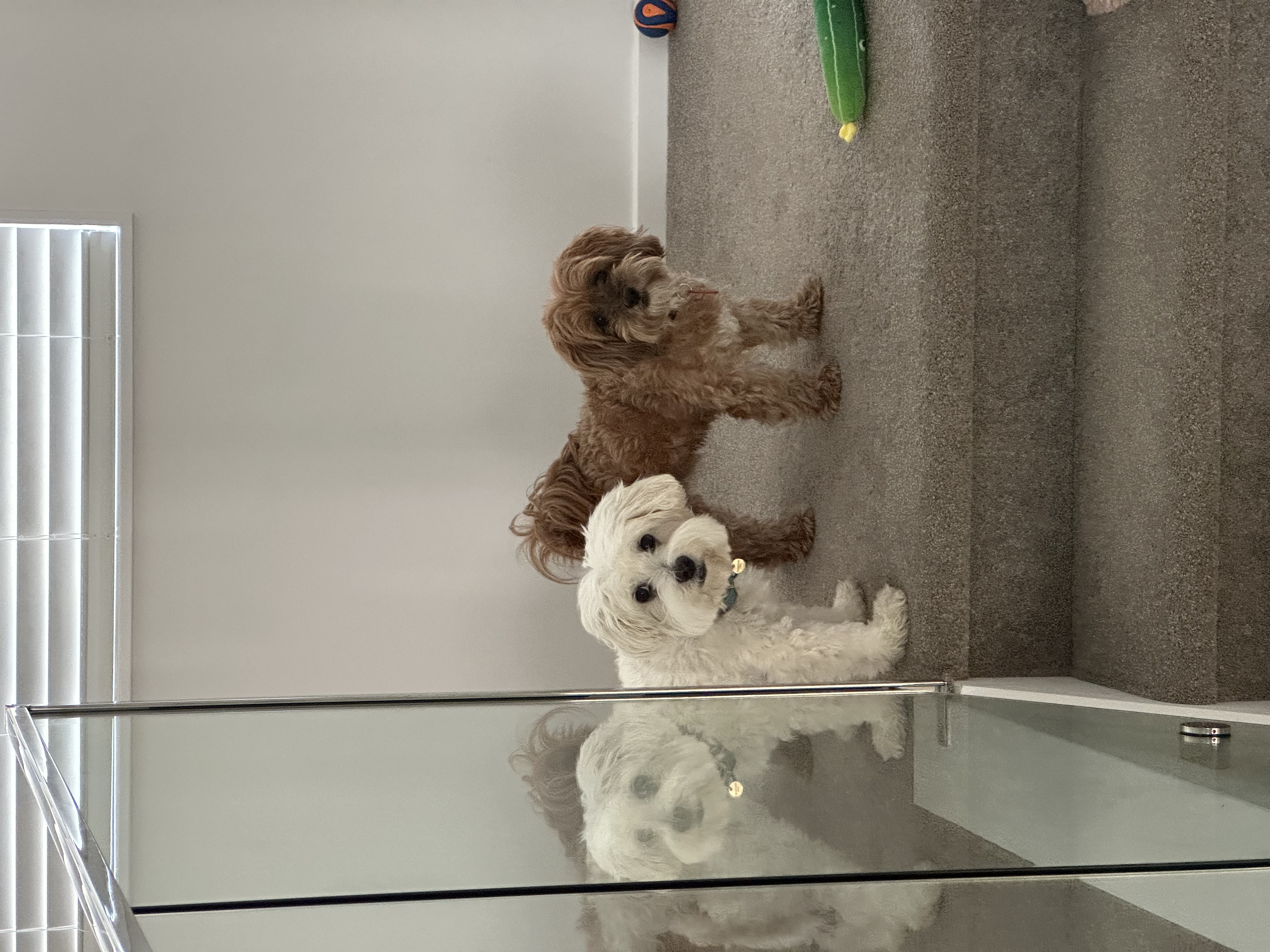 image-42