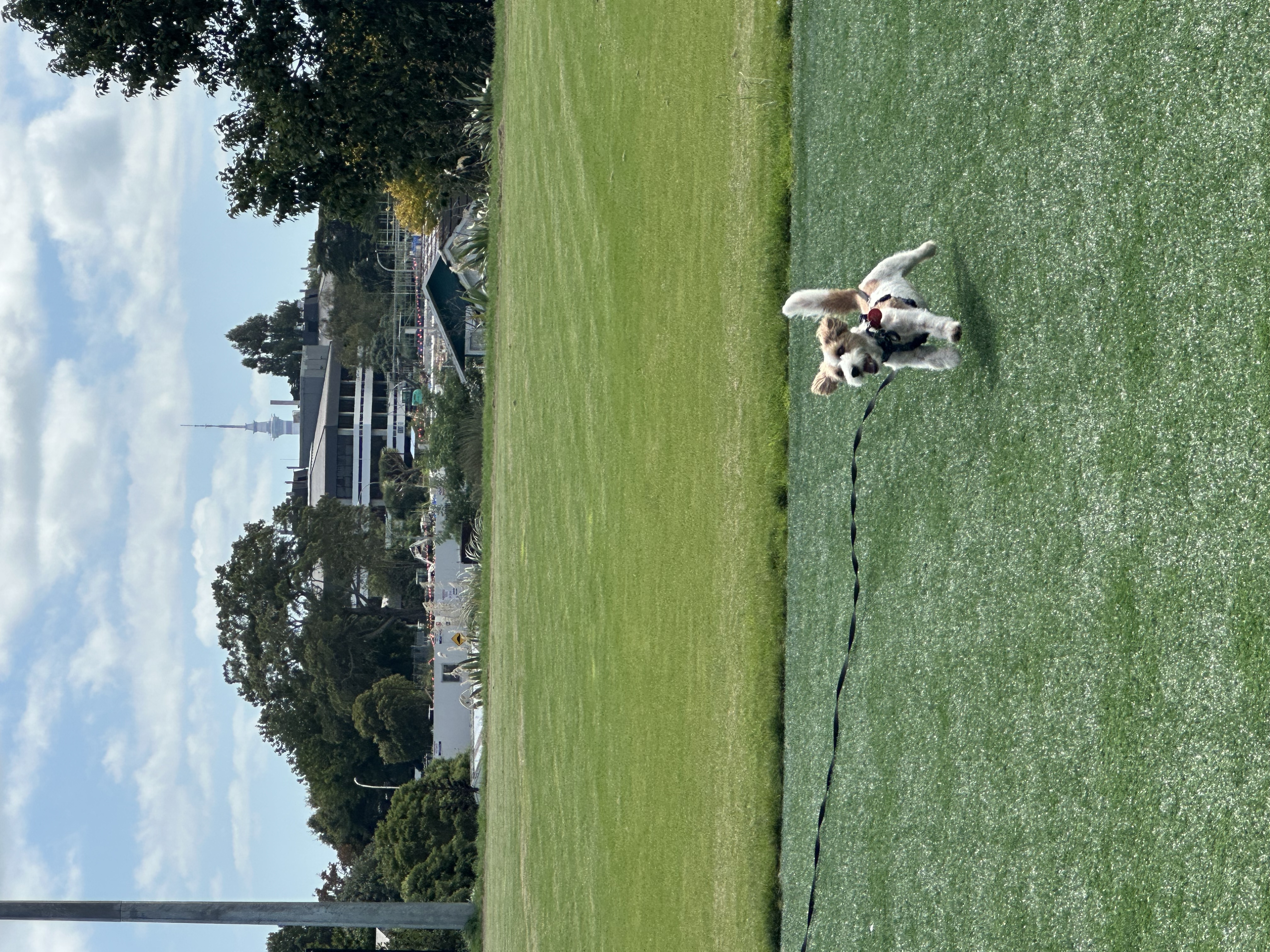 image-10