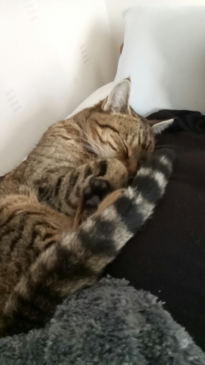 image-6