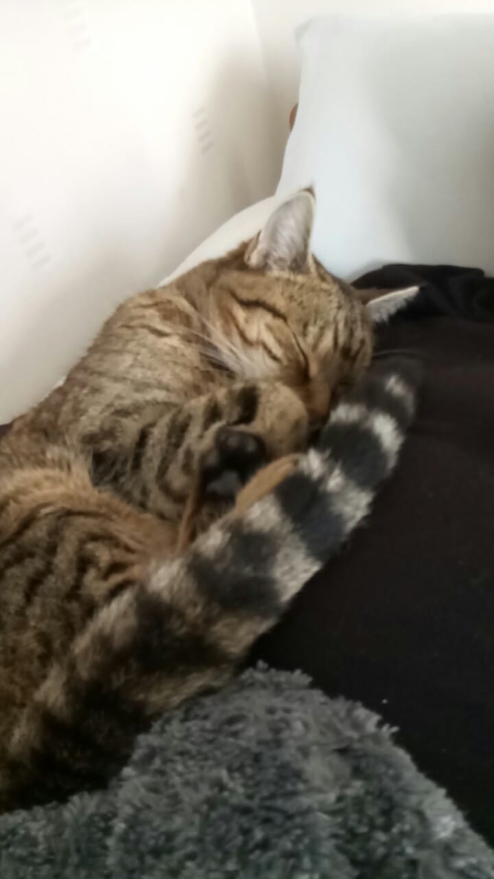 image-6