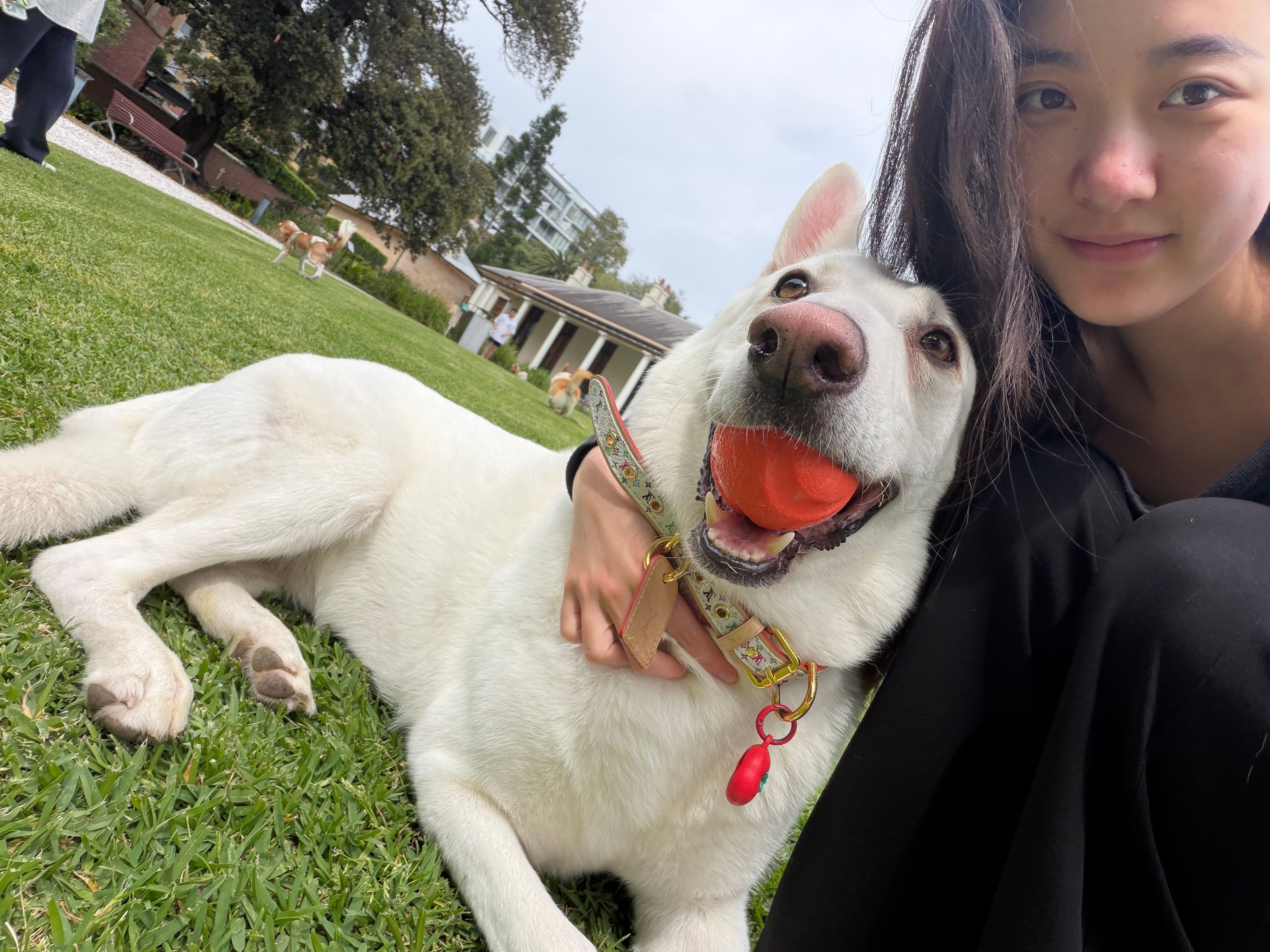 image-6