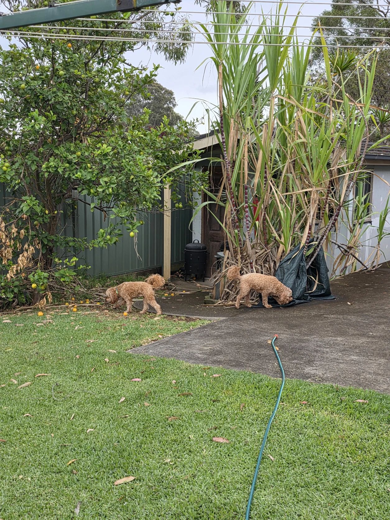image-39