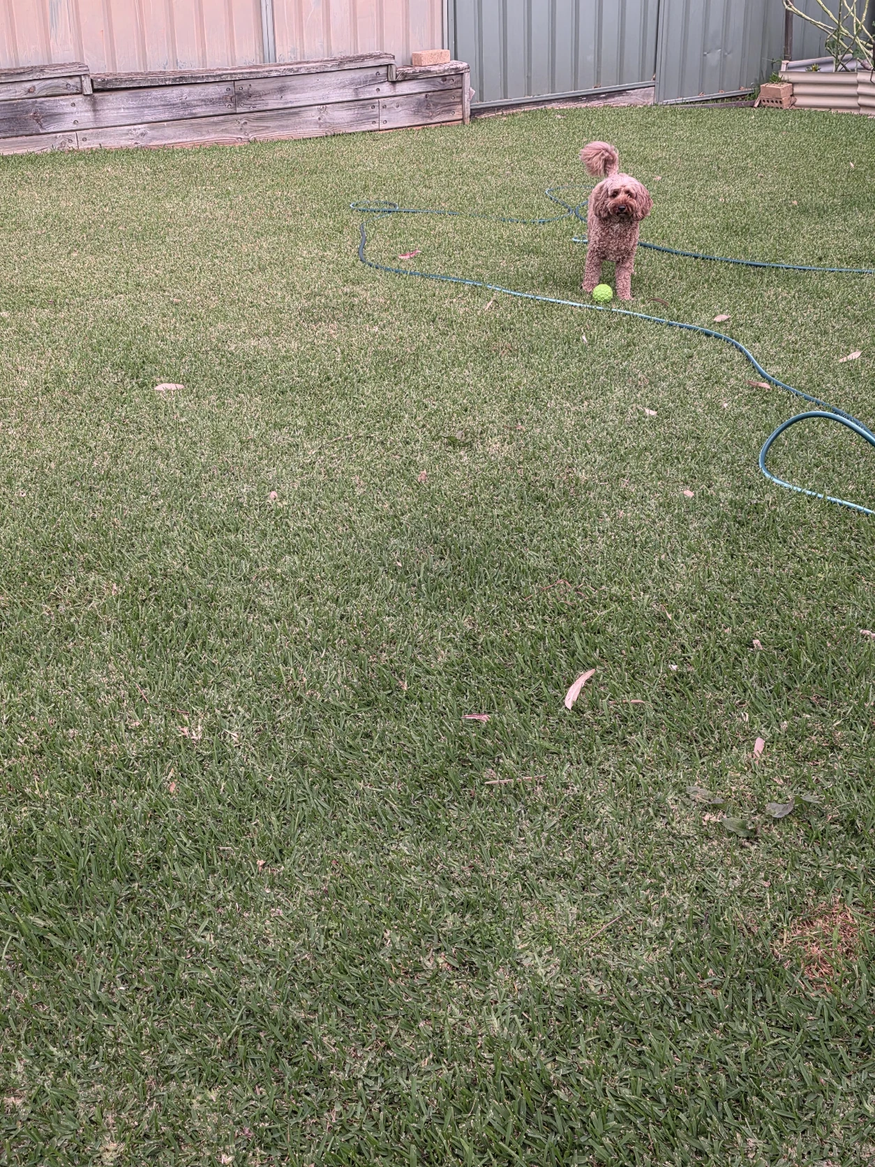 image-29