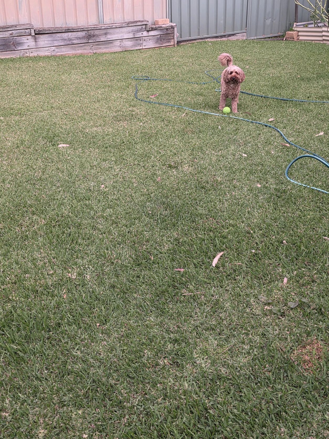 image-29