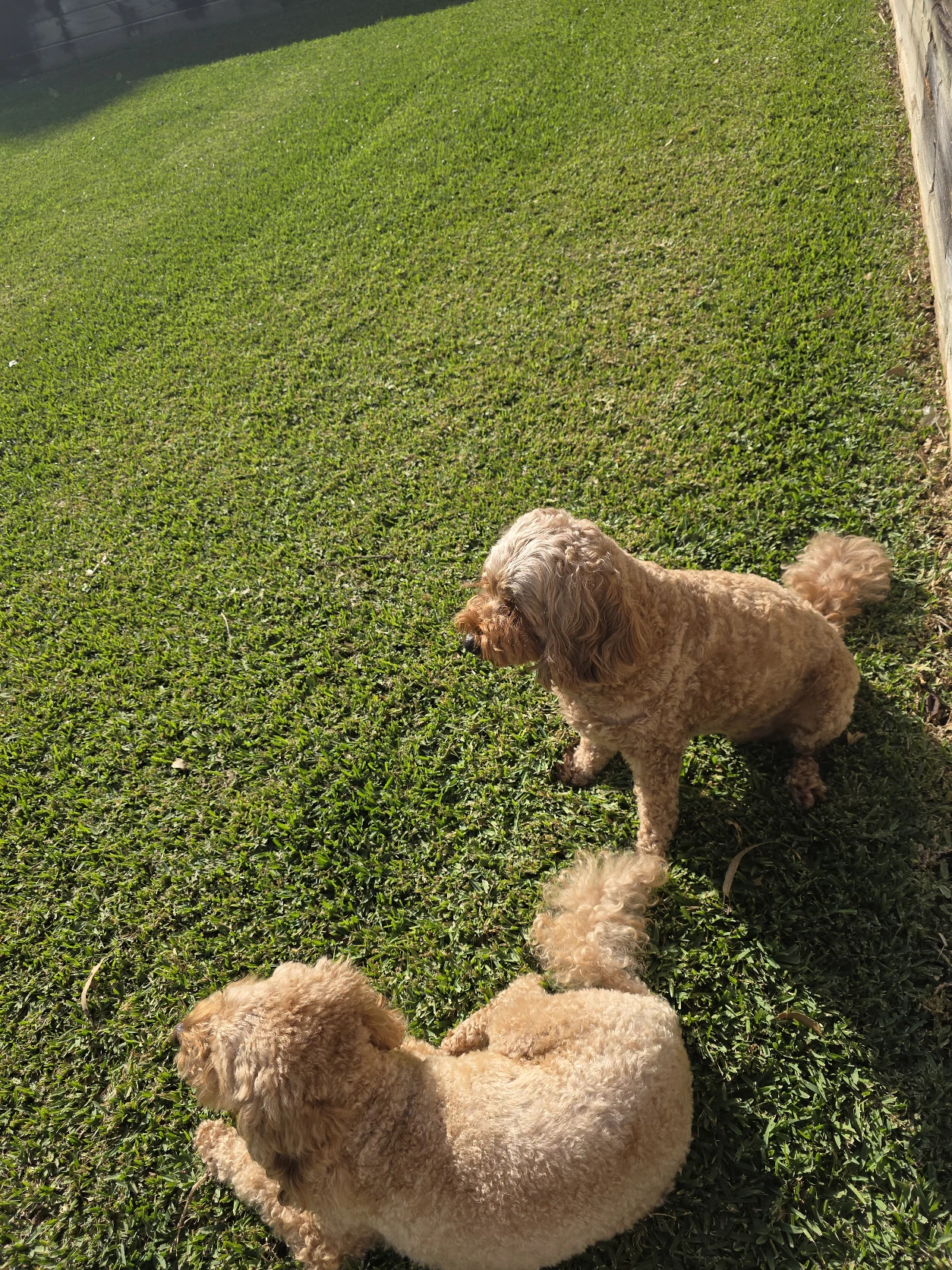 image-36