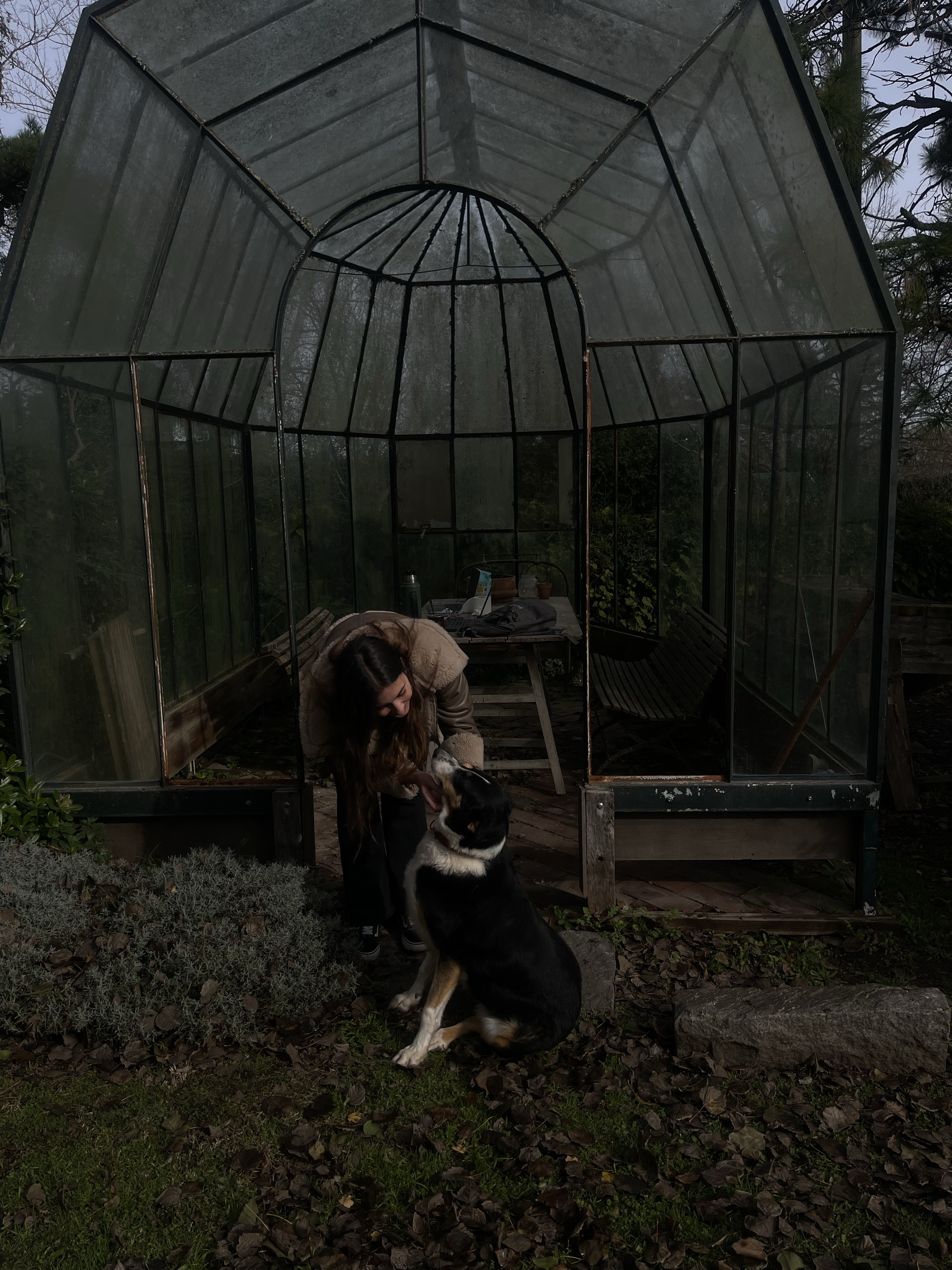 image-5