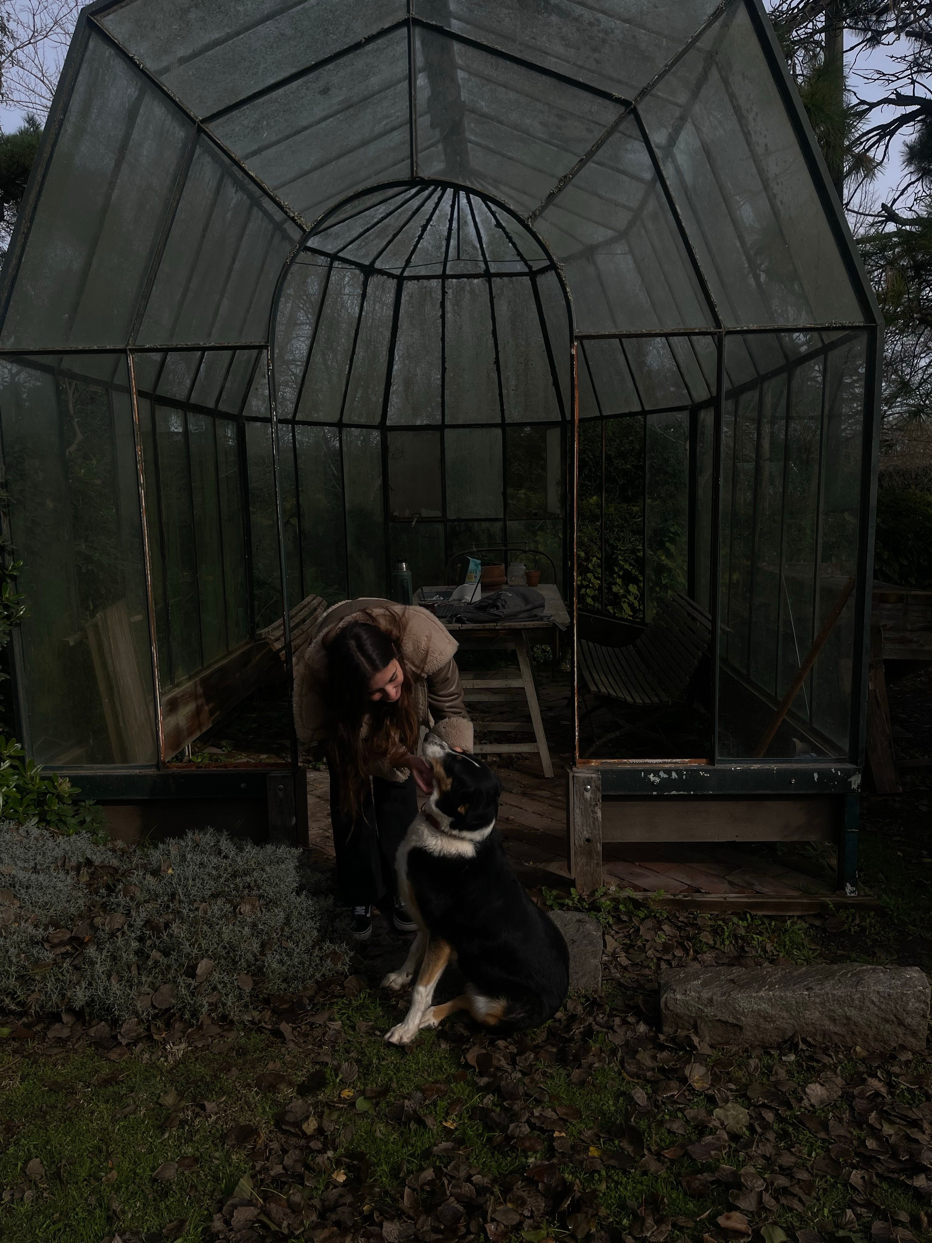 image-5