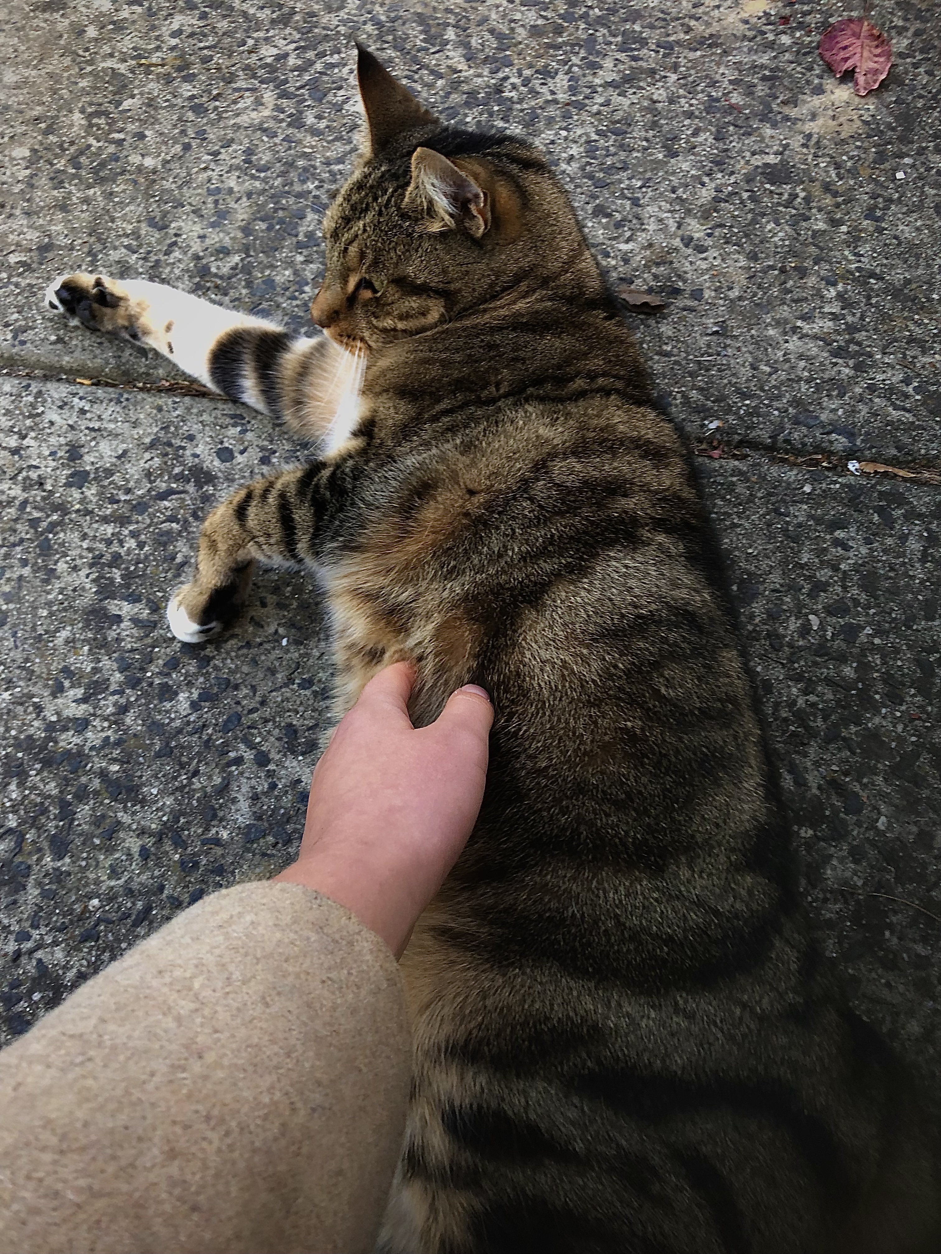 image-11