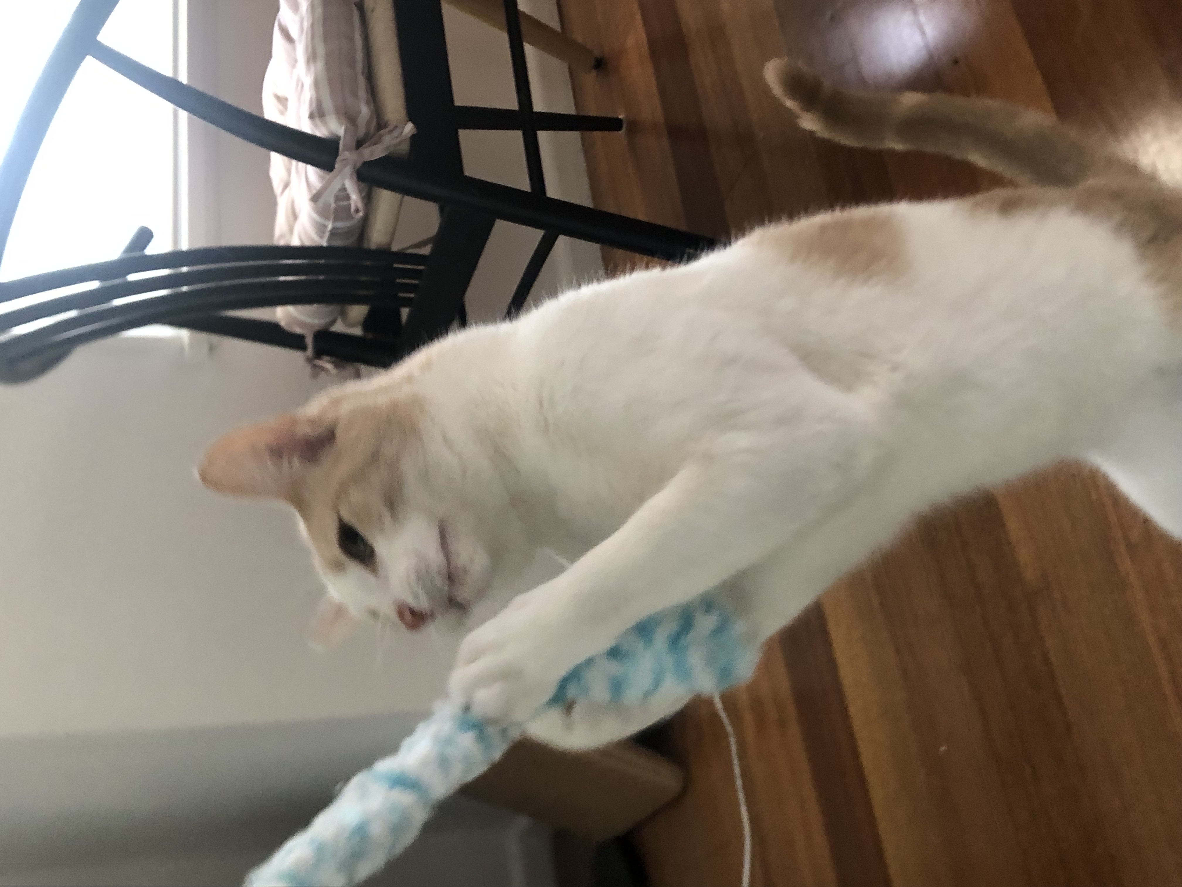 image-15